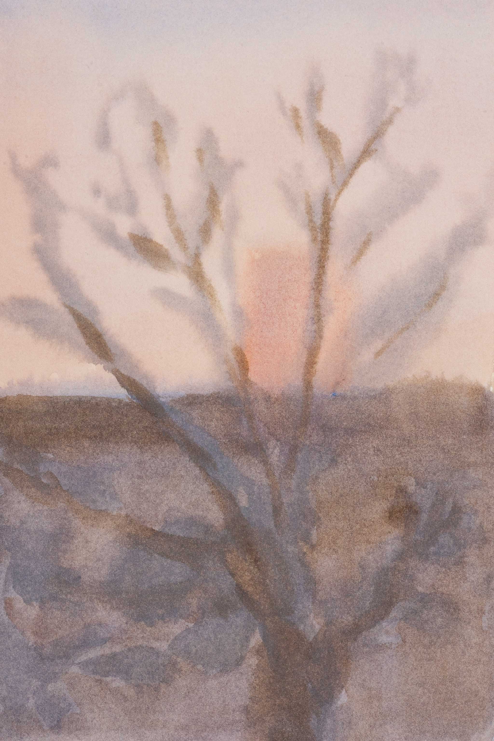 Sky's Serenade (November 11, 2025)-2_SRGB_500K.jpg