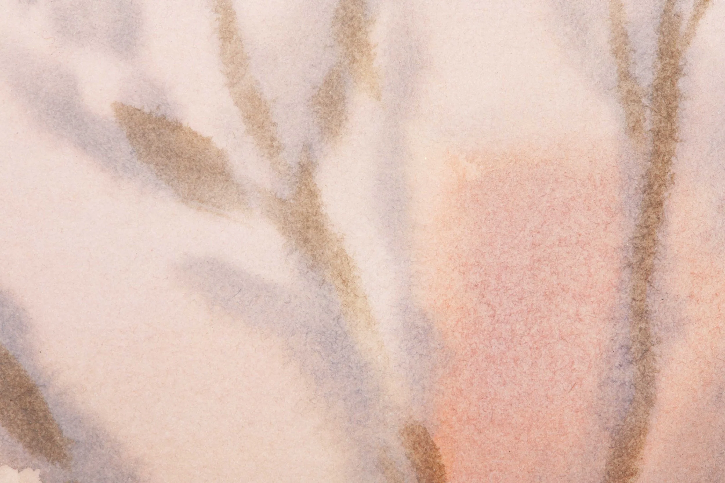 Sky's Serenade (November 11, 2025)-7_SRGB_500K.jpg