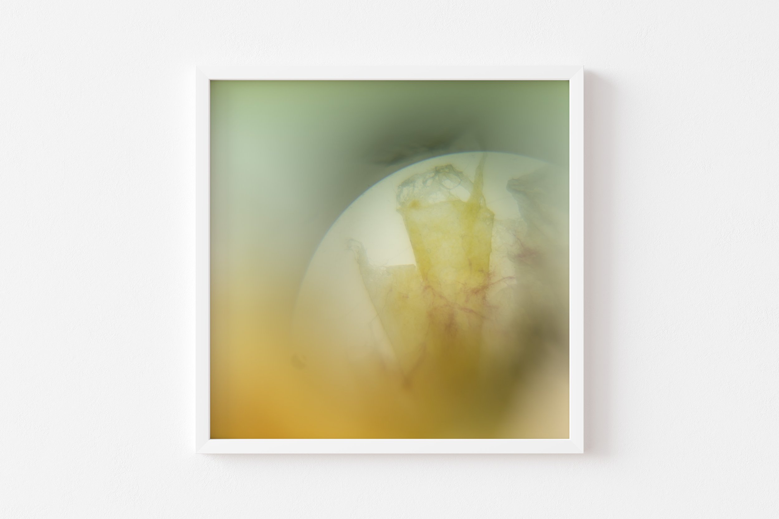 art print no2 the morning star illuminates 4.jpg