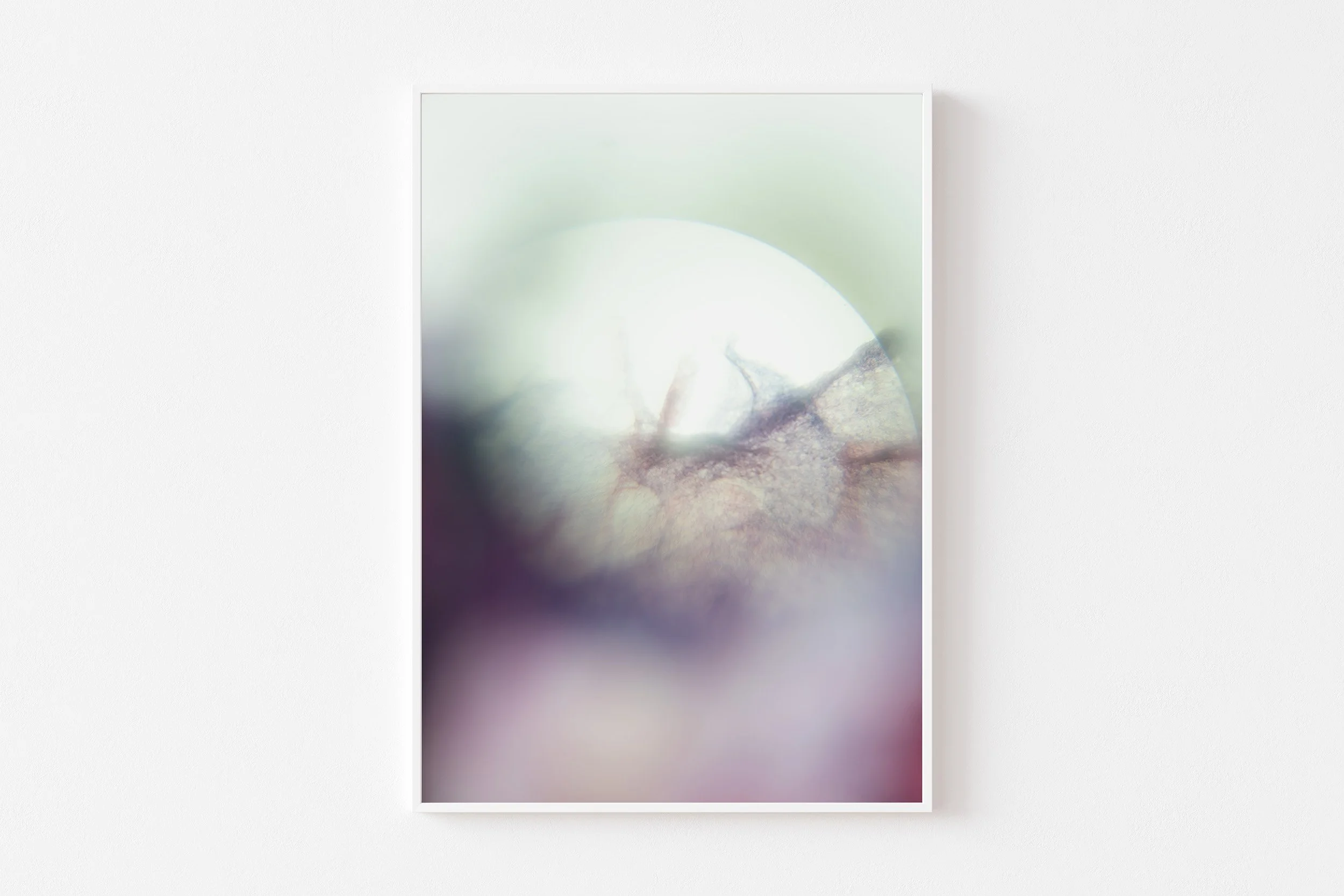 morning star illuminates no3 srgb white frame.jpg