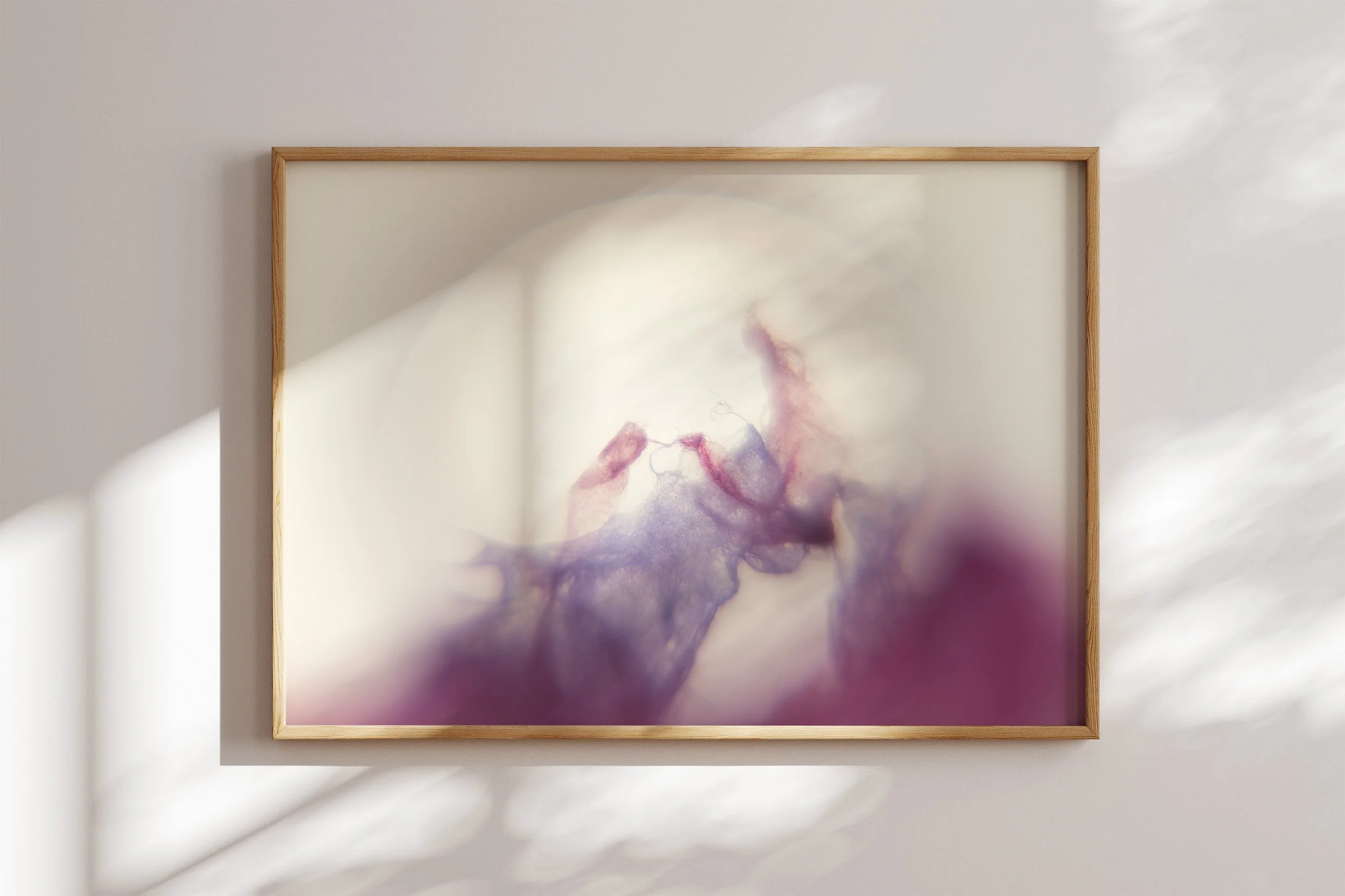 morning star illuminates no6 srgb wood frame.jpg
