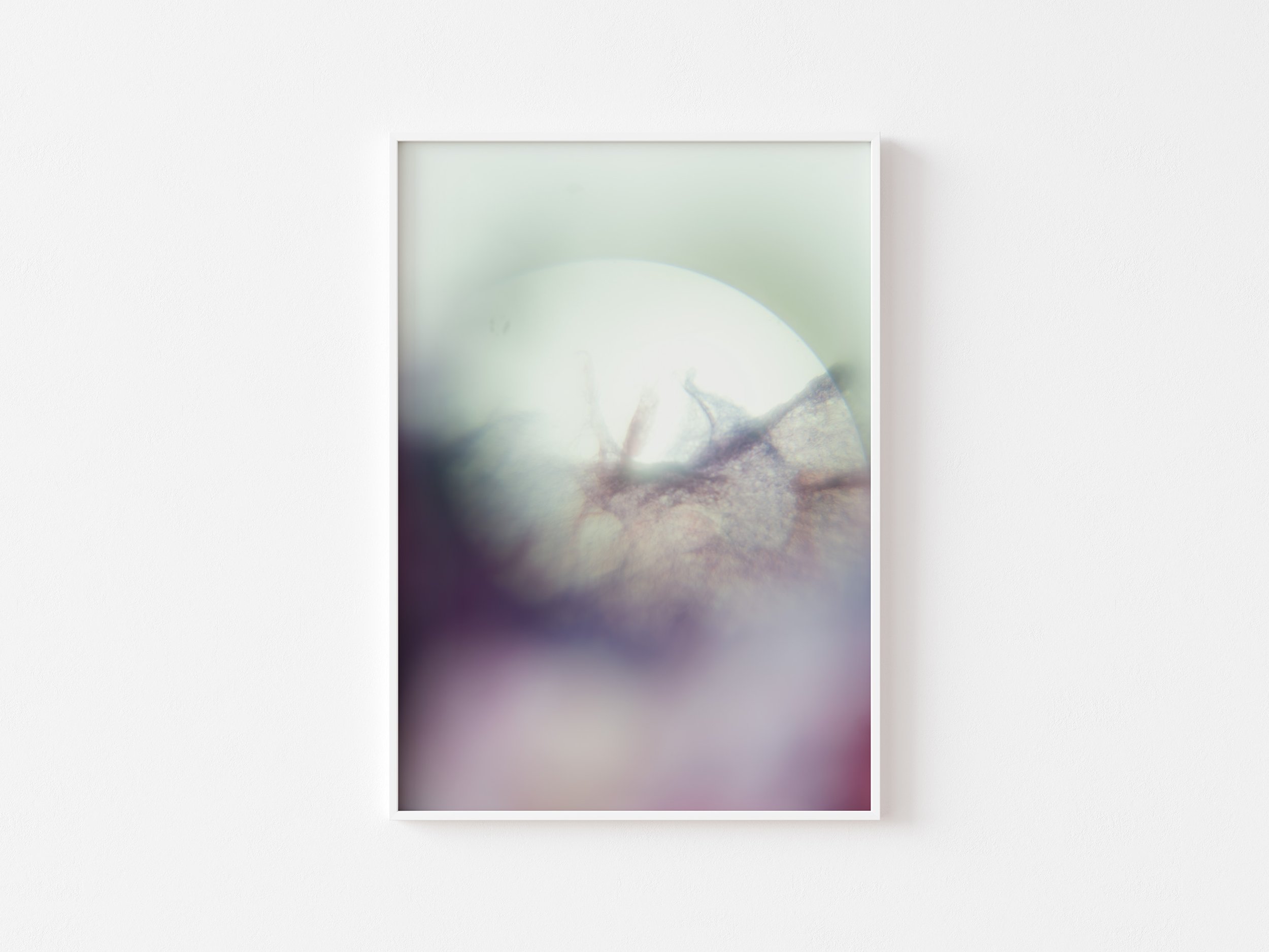 art print no3 the morning star illuminates 1.jpg