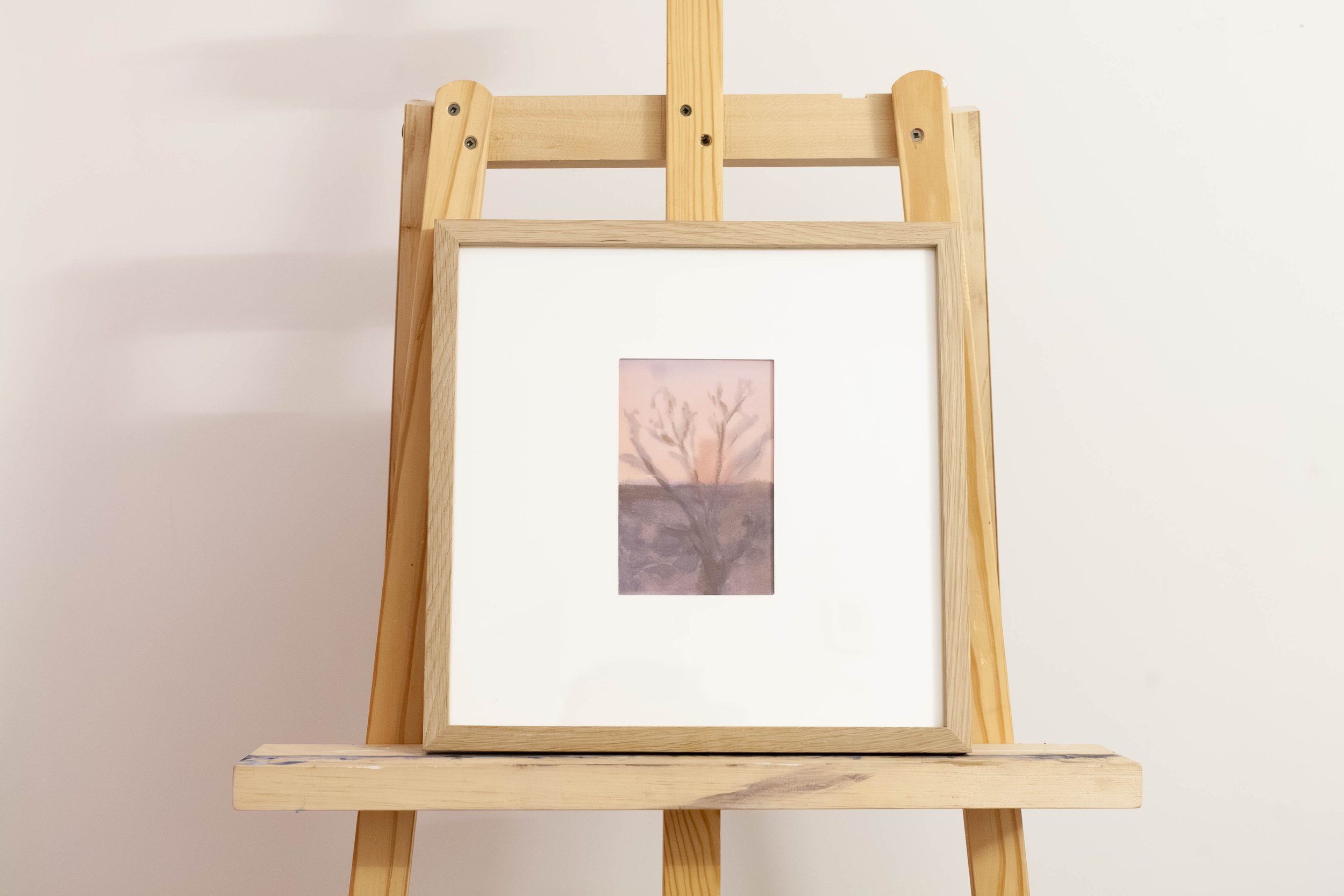 Sky's Serenade (November 11, 2025)-1_SRGB_500K.jpg