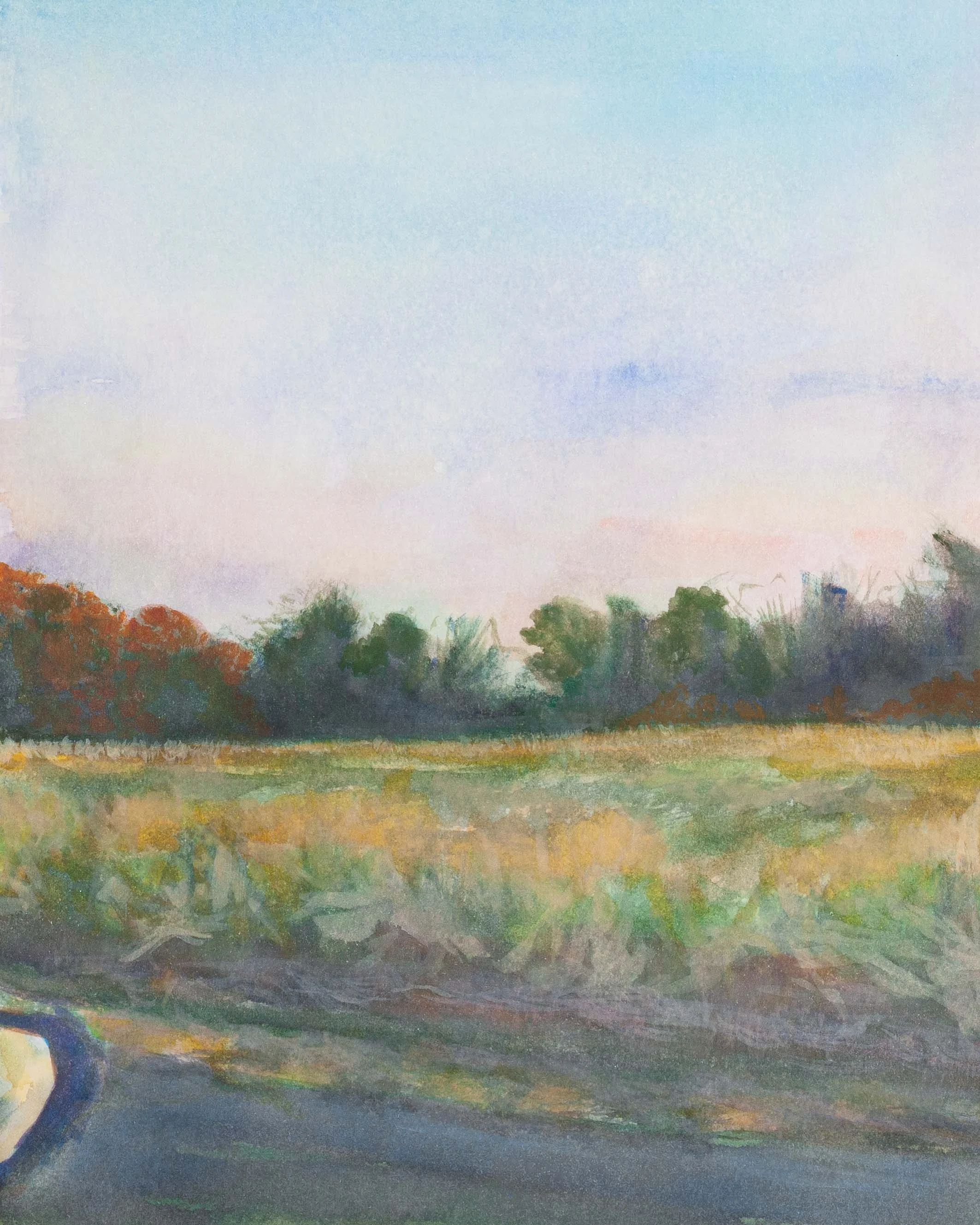 Sky's Serenade (October 3, 2025)-1_SRGB_500K.jpg