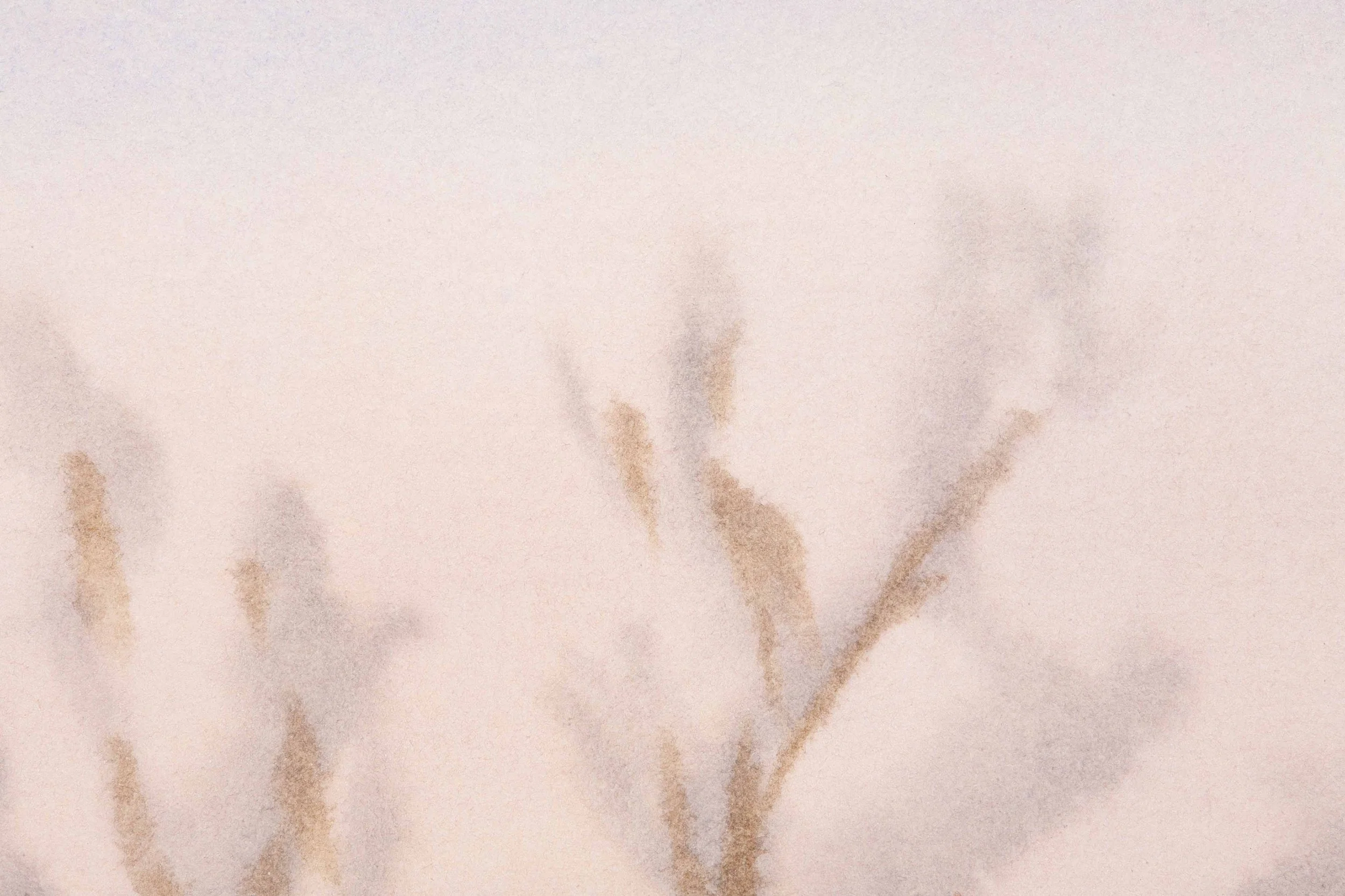 Sky's Serenade (November 11, 2025)-6_SRGB_500K.jpg