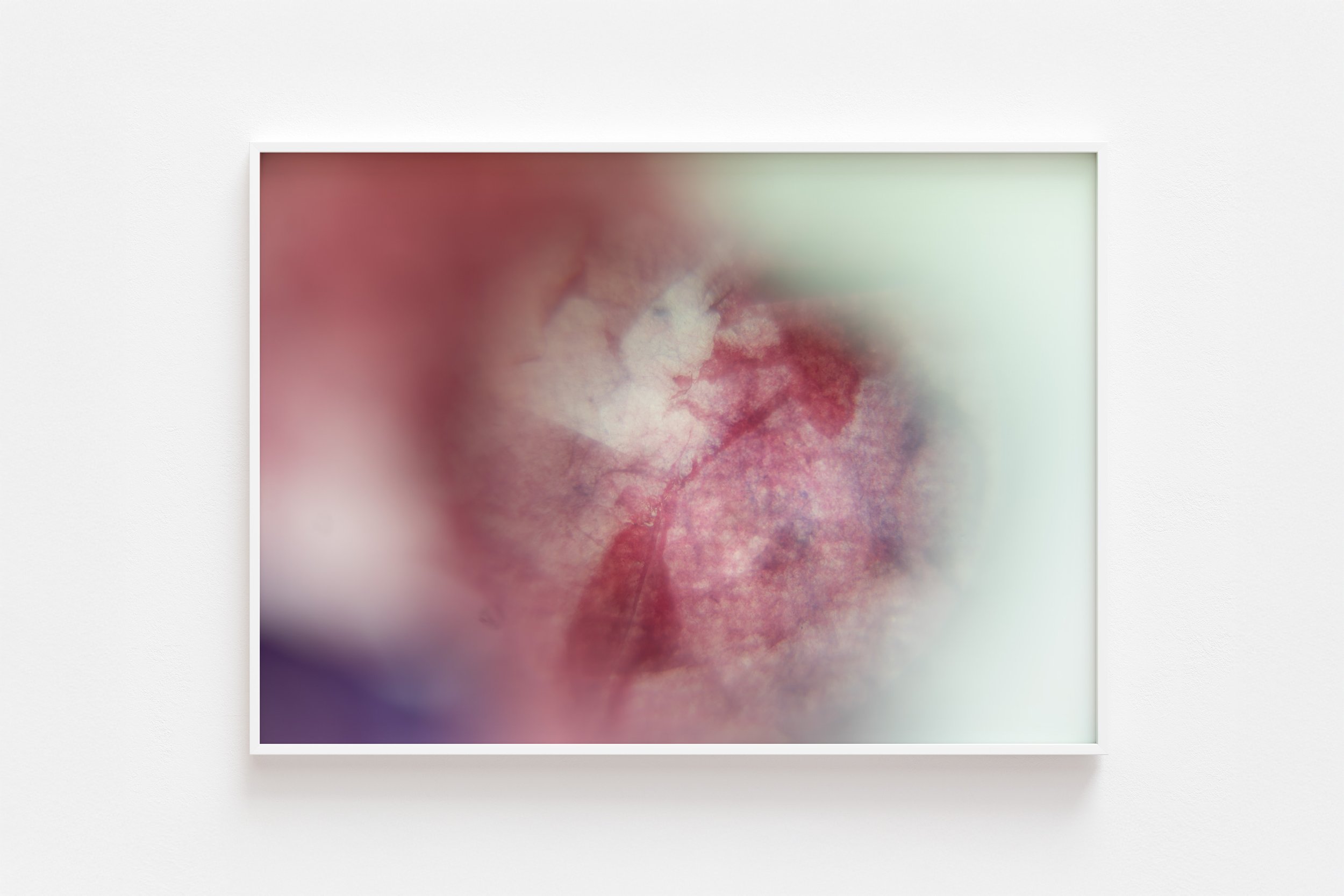 art print no7 the morning star illuminates 1.jpg