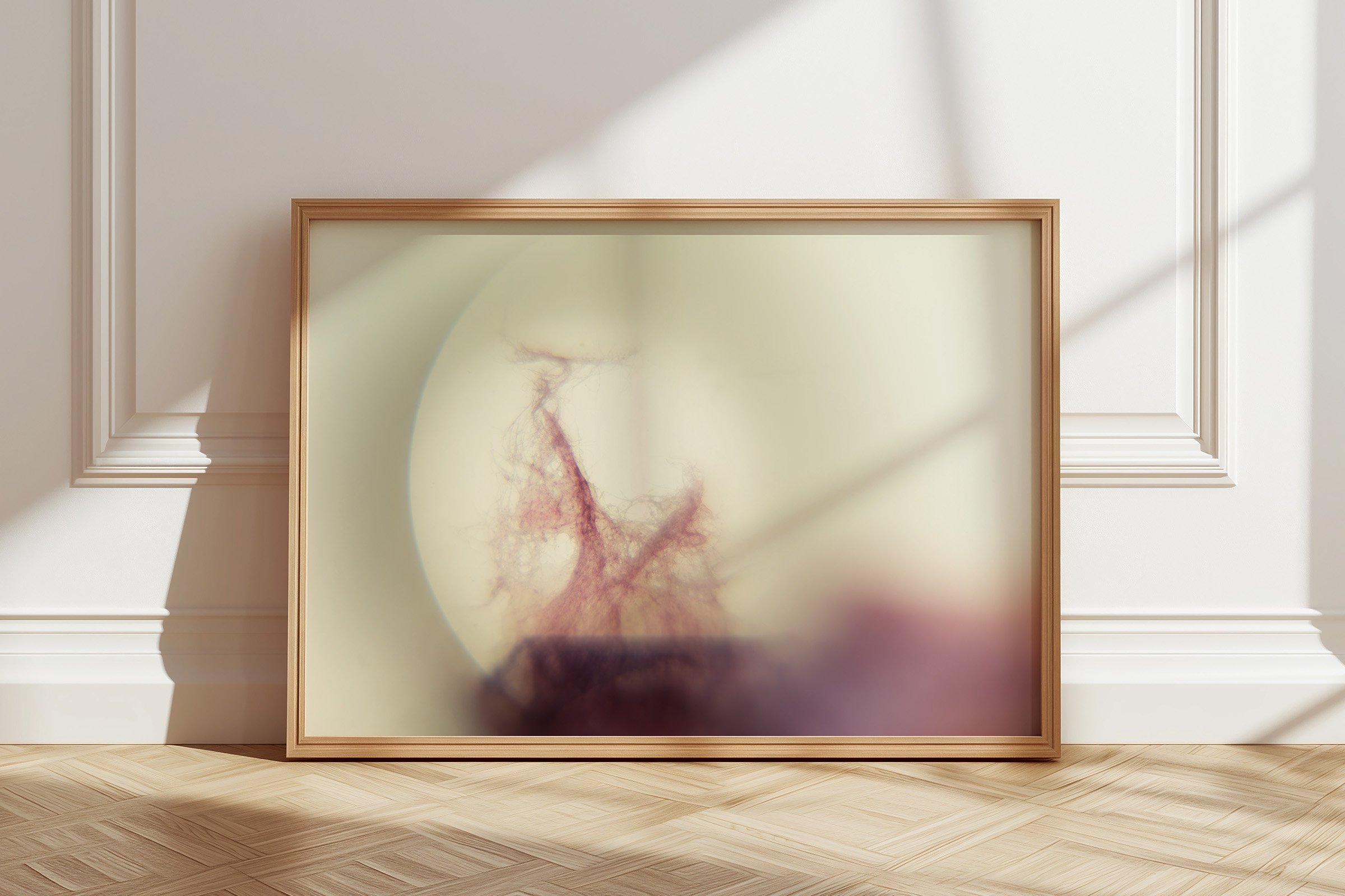art print no9 the morning star illuminates 2.jpg