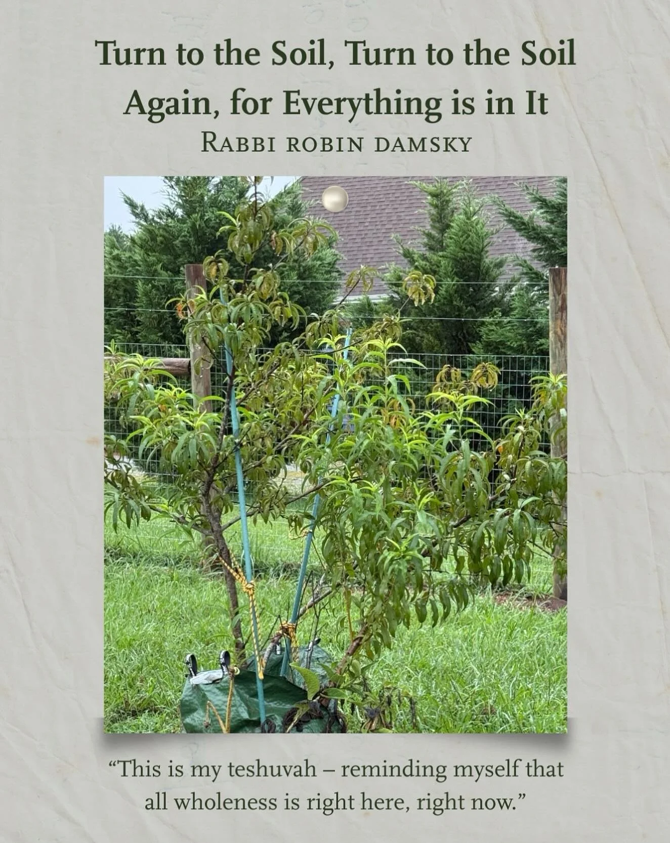 As we enter the third week Elul, I turn my thoughts to our relationship with the glorious home that is our earth. Below is my blog for this year&rsquo;s Earth Etudes for Elul, my 13th year of having the honor to write for this wonderful collection. 
