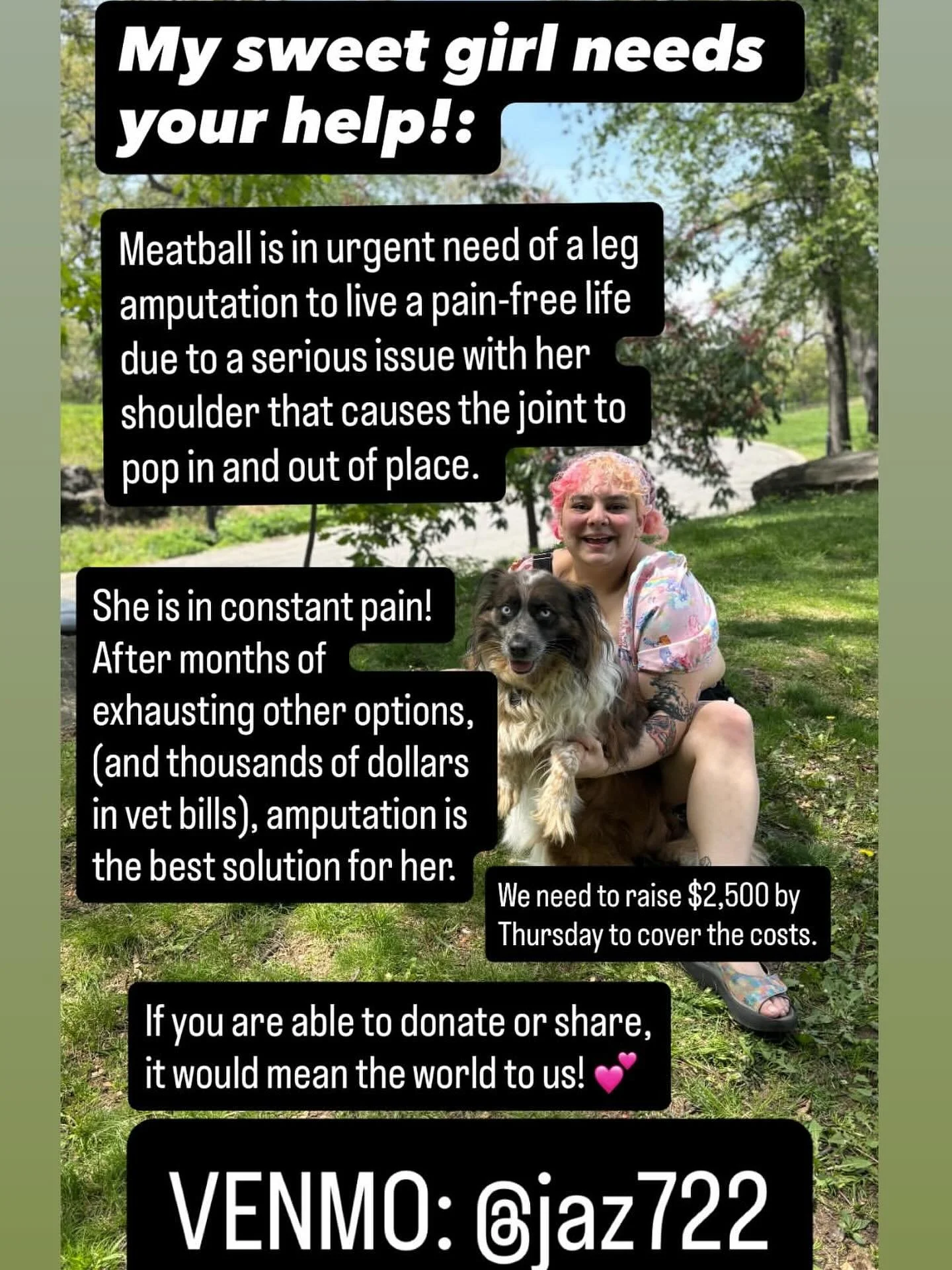 Reposting for my family member, Julz. I can vouch for them and their dog&rsquo;s need. Any contributions would be a blessing. Thank you 🙏