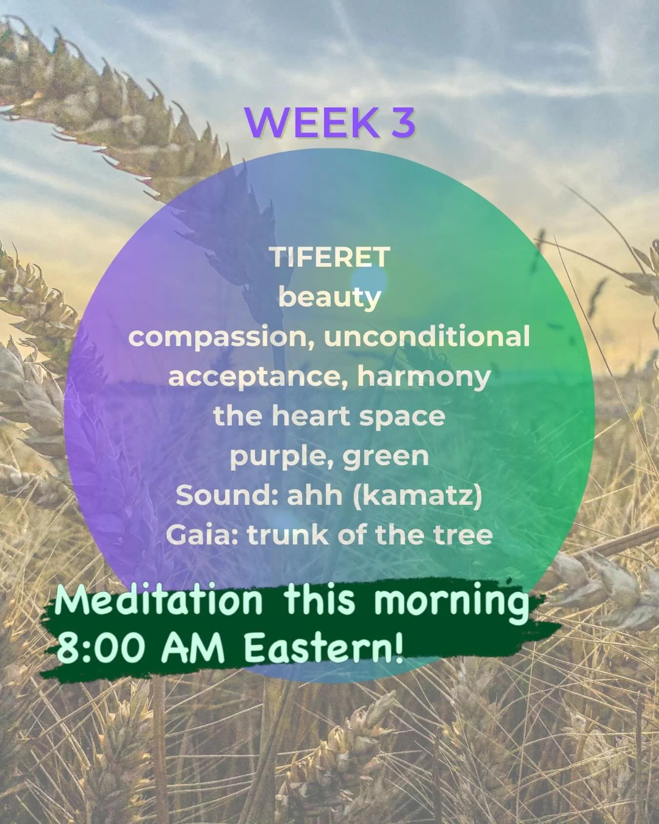 The&nbsp;Omer Meditations&nbsp;series continues!
&nbsp;
Join us this morning at 8:00 AM Eastern. We will meet for an introduction to the third week of this wonderful journey, followed by a meditation.
&nbsp;
We will explore the sefirah of Tiferet, de