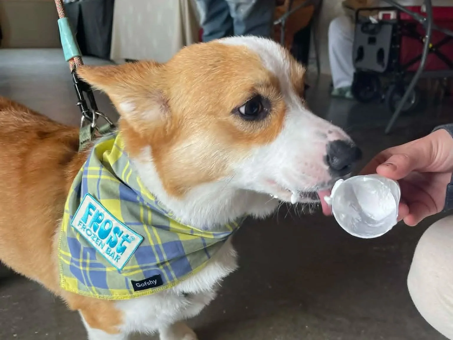 Yappy Hour 