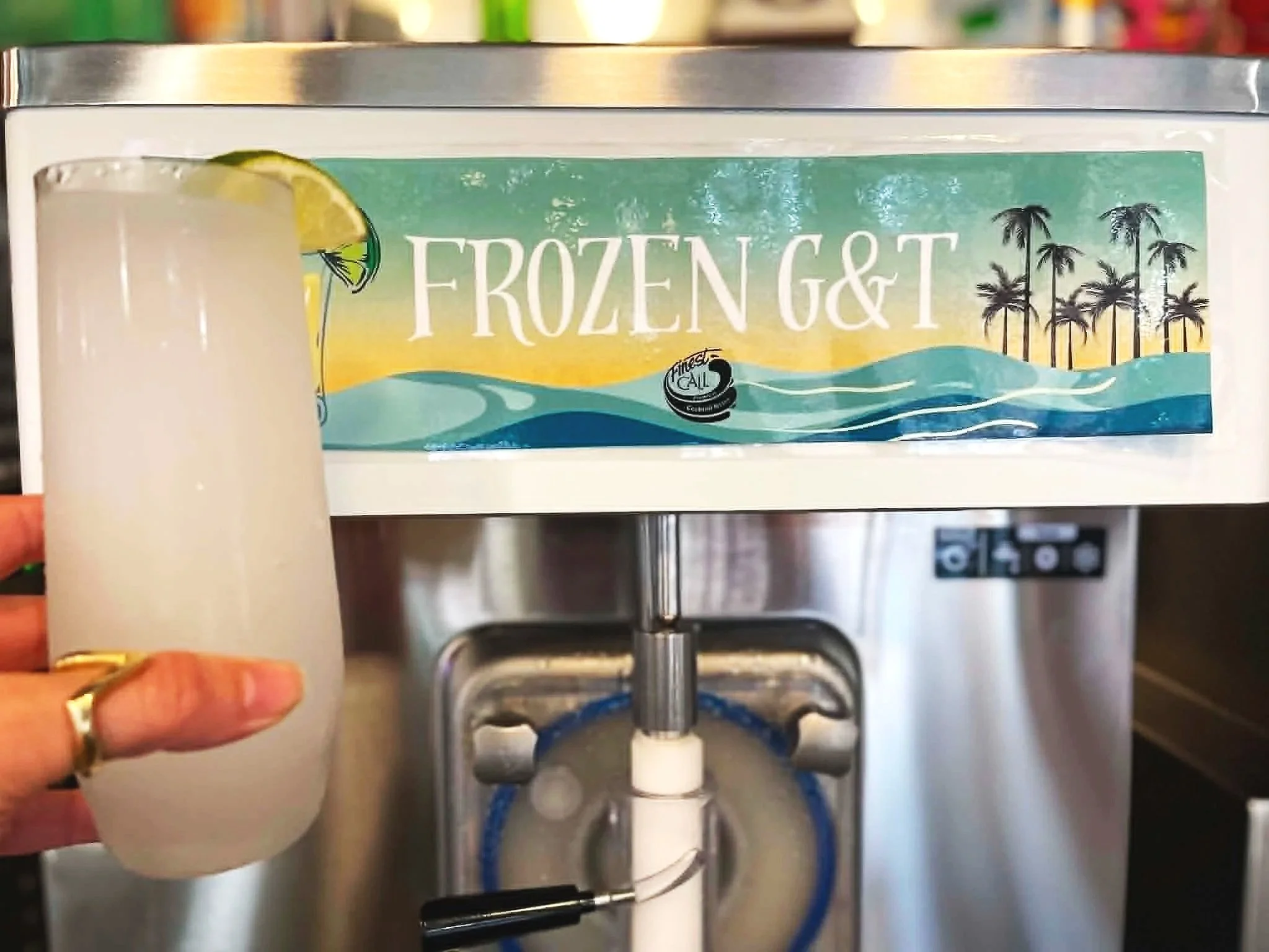 Gin &amp; Friends At Frost