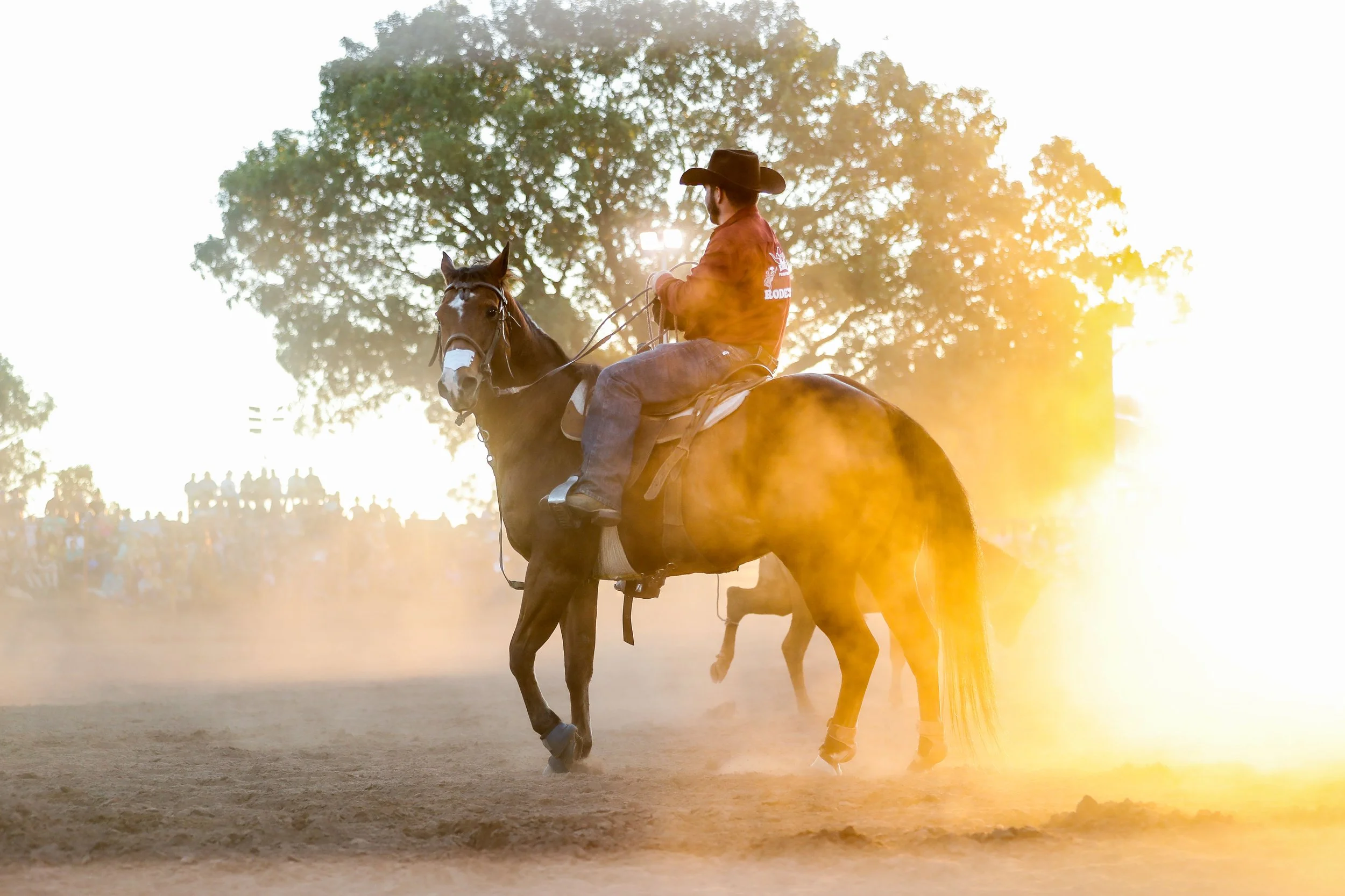 20230708 19-38-42 1dx-c04853.JPG