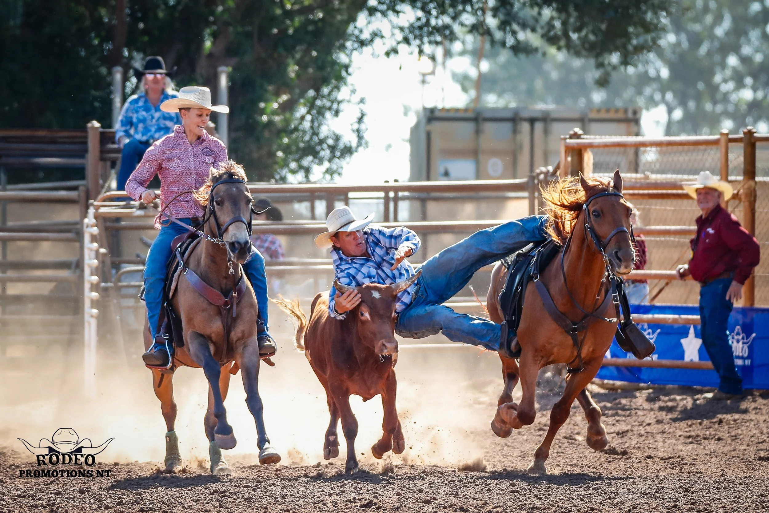 20230819 16-02-59 canon eos-1d x mark iicw15862.JPG