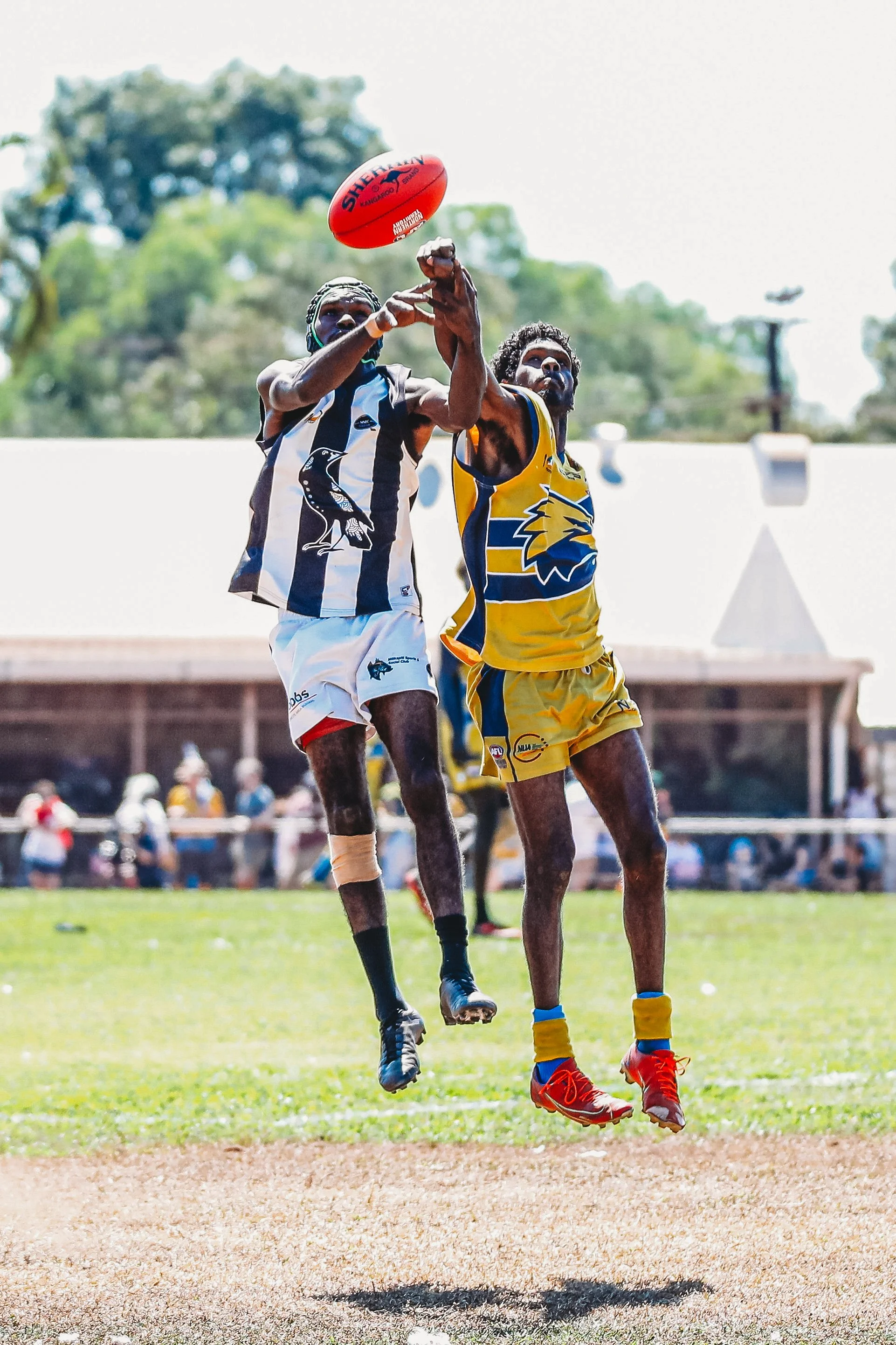 cw11-8-202414024904652 2.JPG