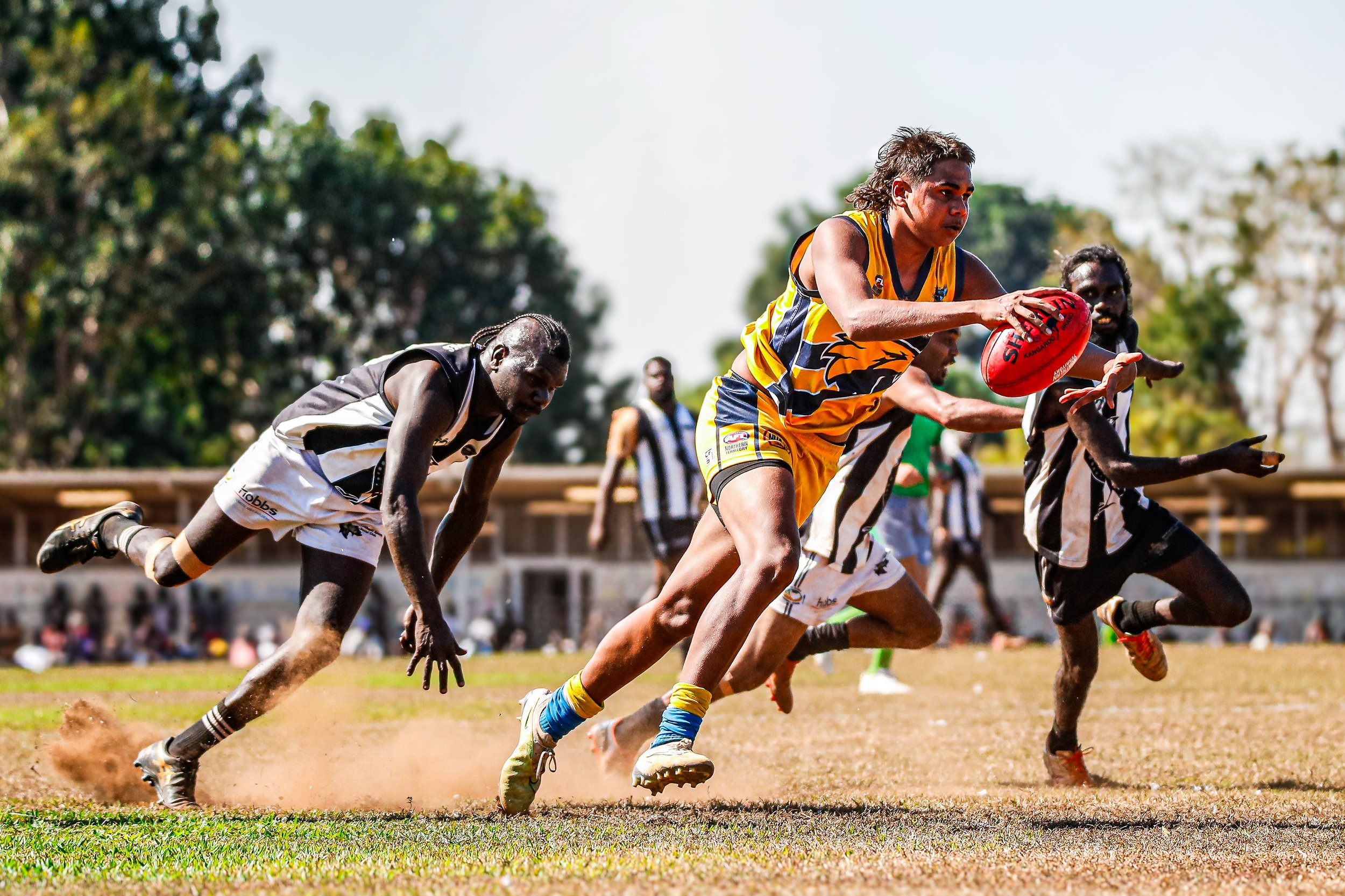 cw11-8-202415195507345 2.JPG