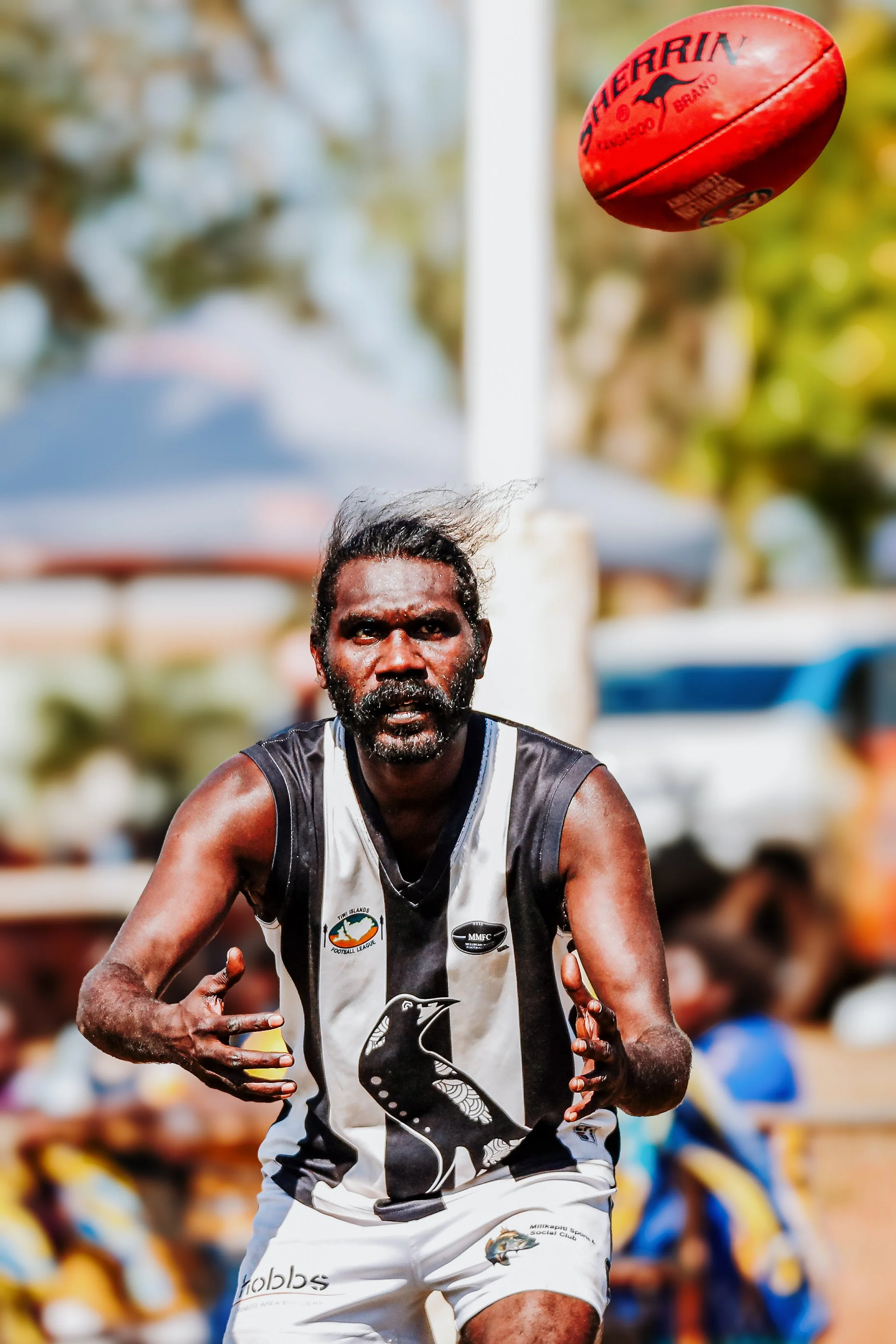 cw11-8-202415201307361 2.JPG