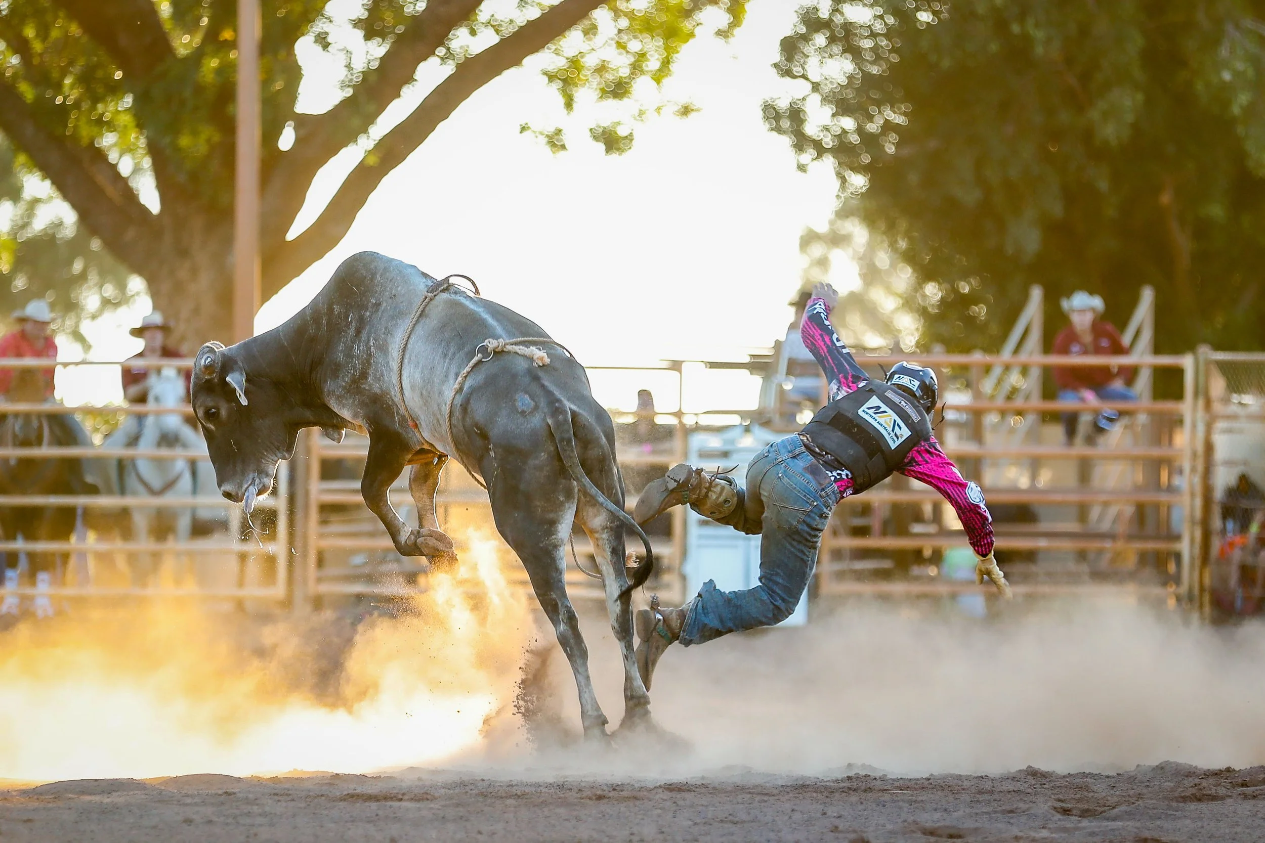 20230708 19-26-50 1dx-c04550.JPG