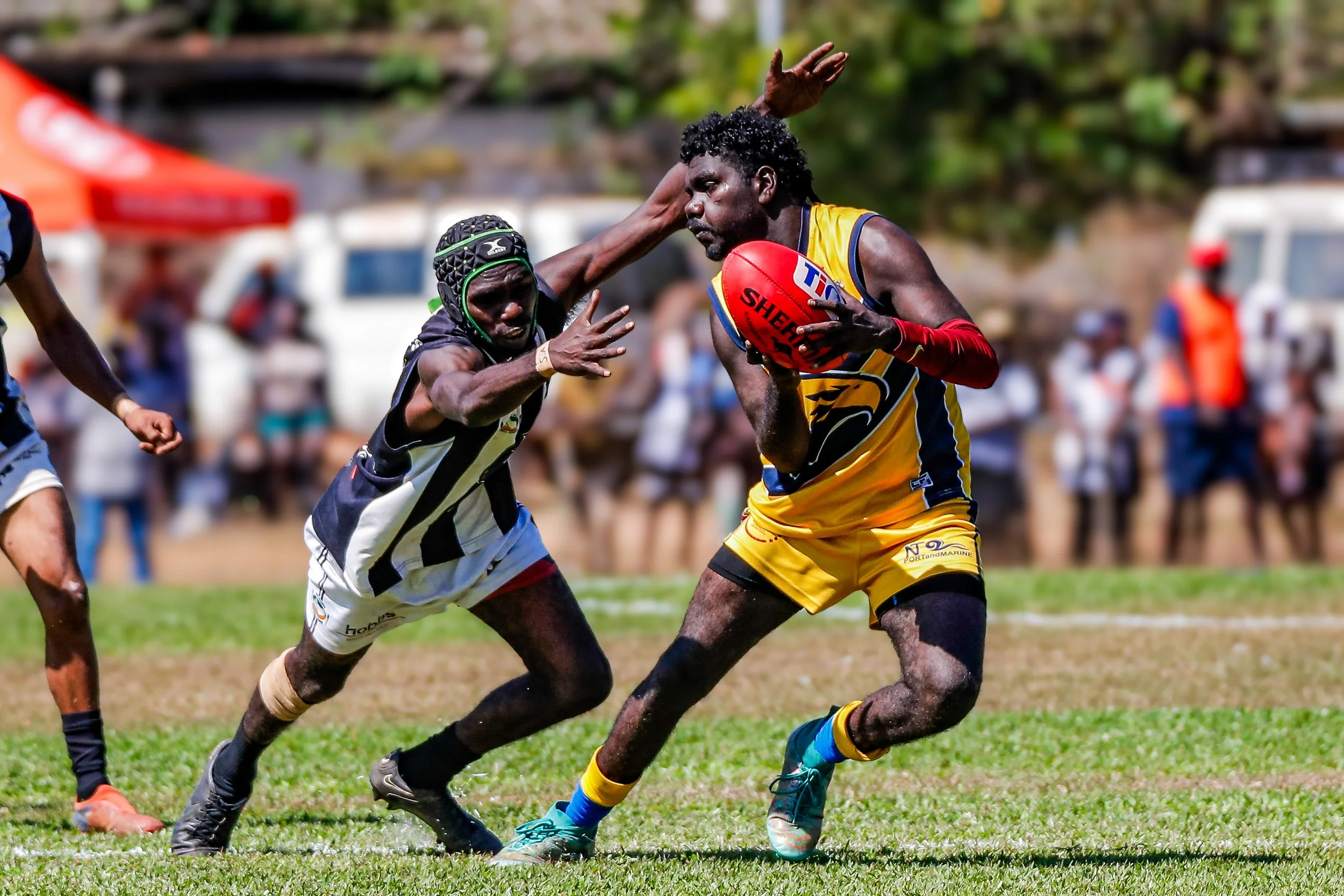 cw11-8-202414372506270 2.JPG