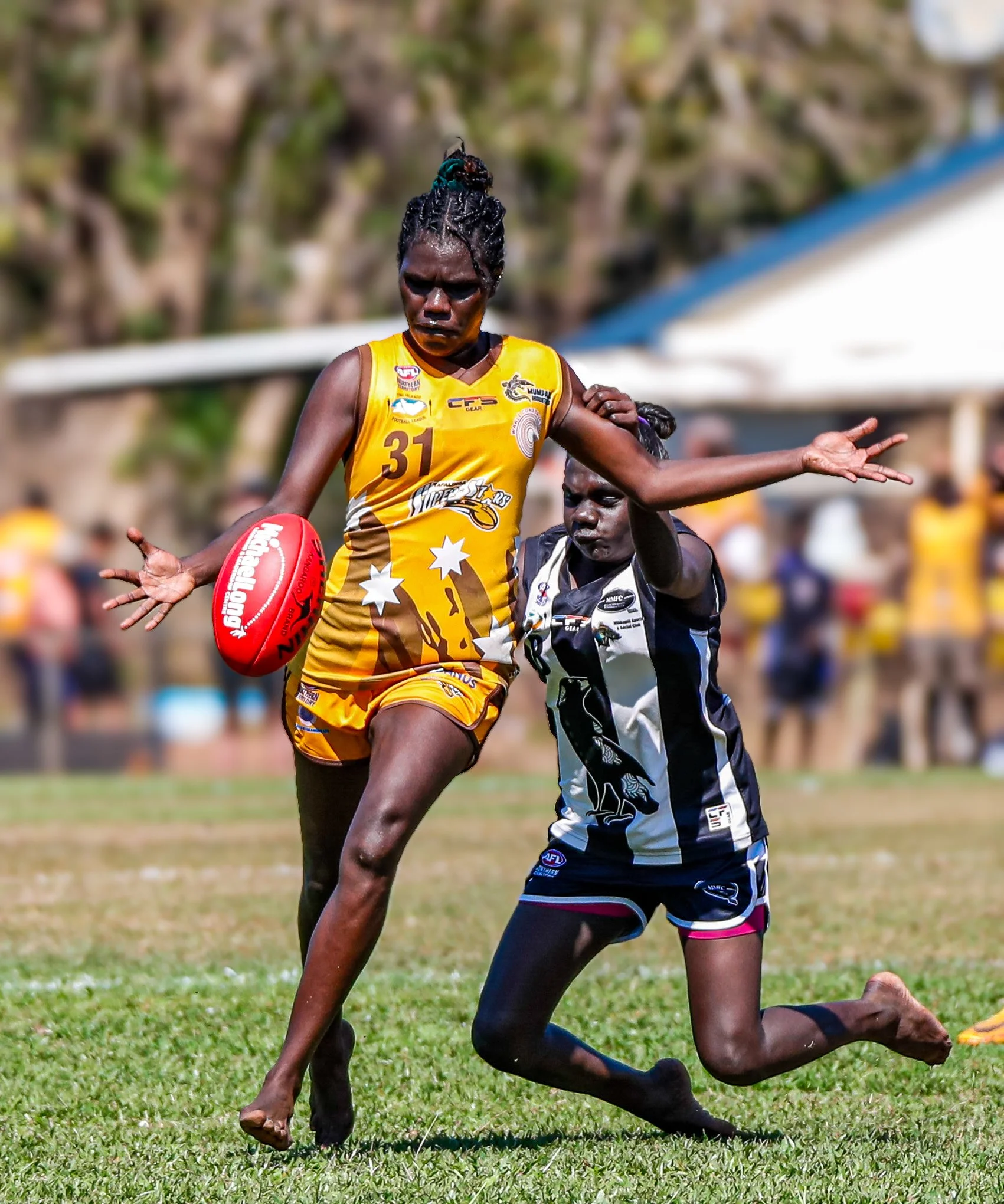 cw11-8-202410583301817 2.JPG