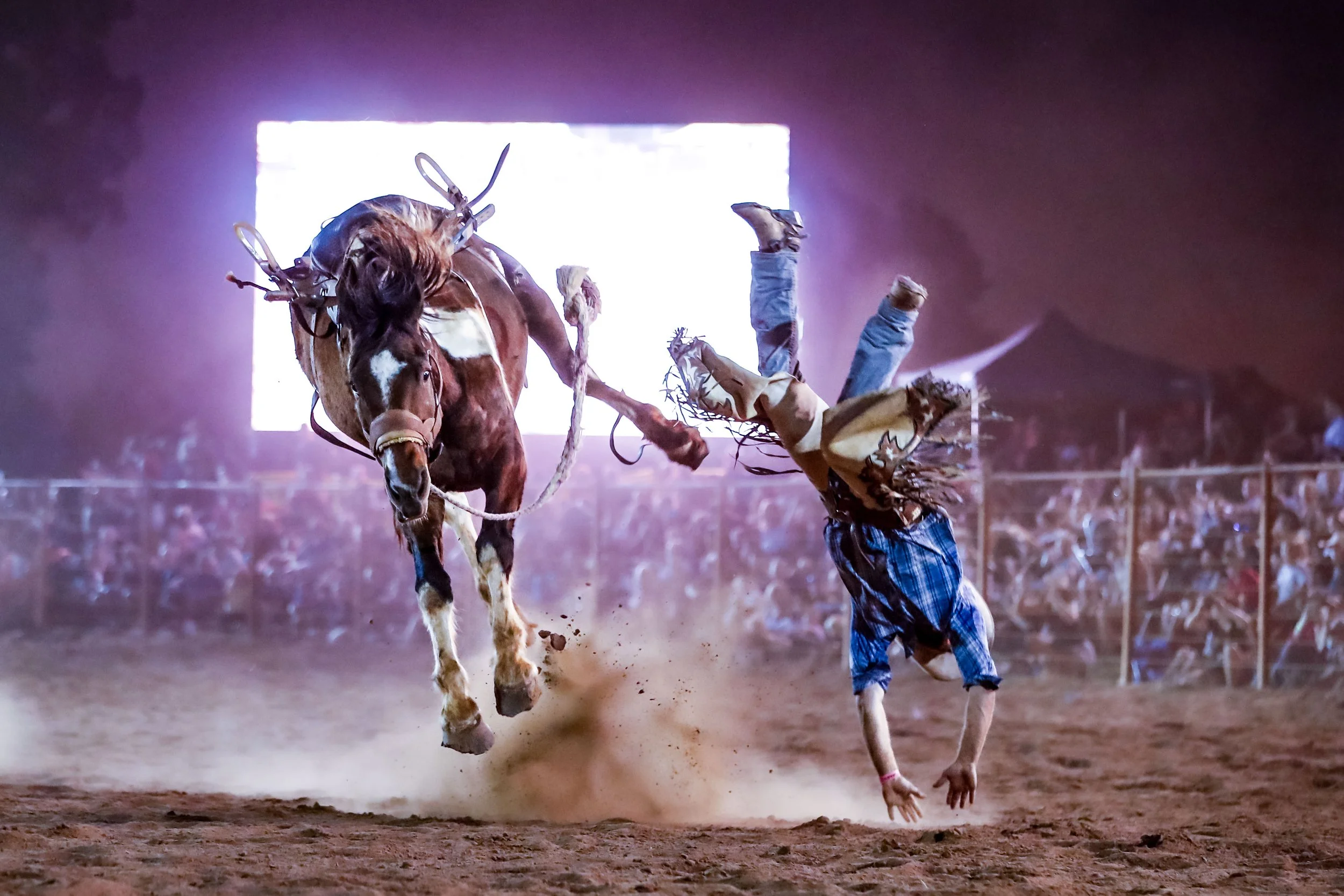 20230708 20-42-24 1dx-c05856.JPG