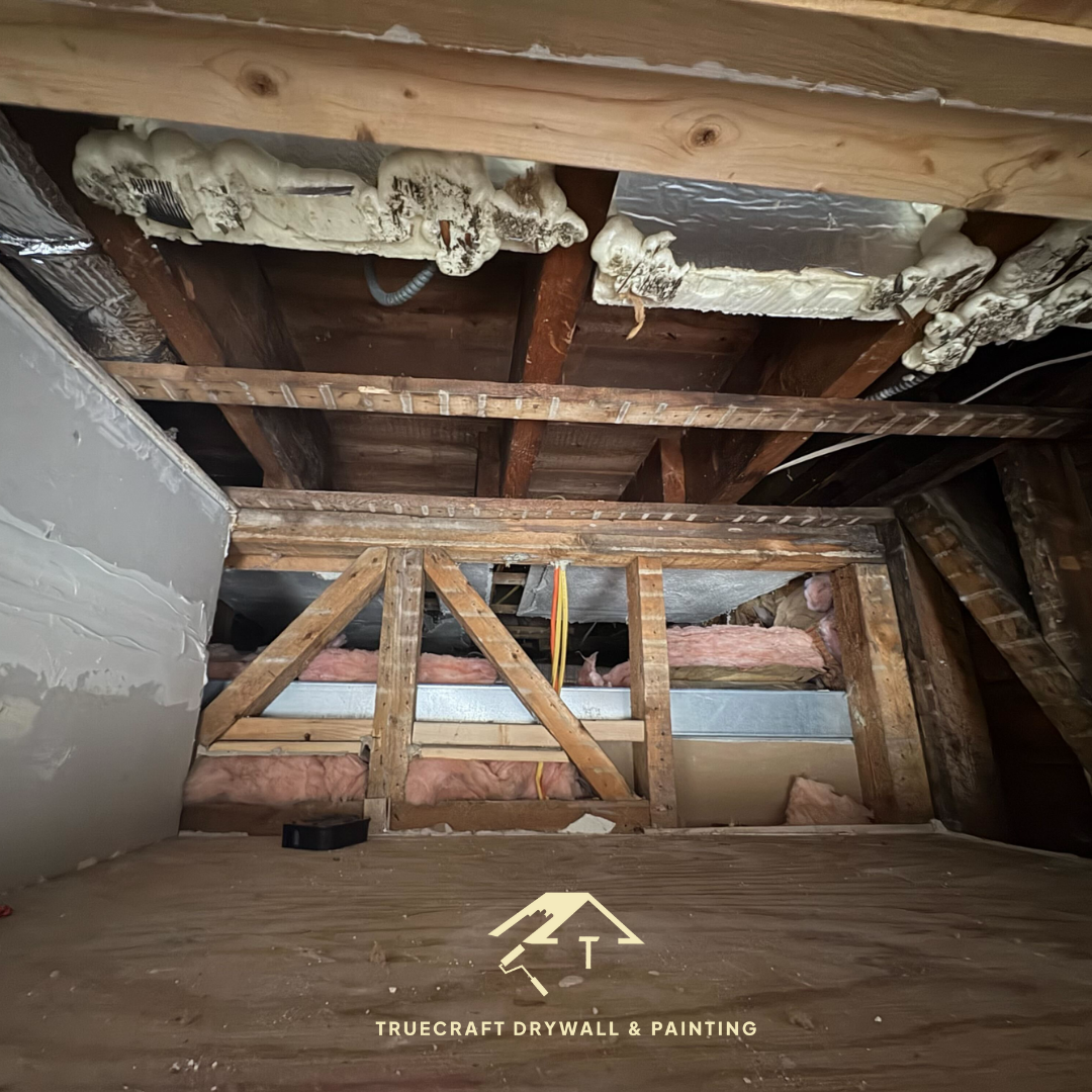 Water Damage in Boston Homes: What It Looks Like, Why It Happens, and What to Do Next