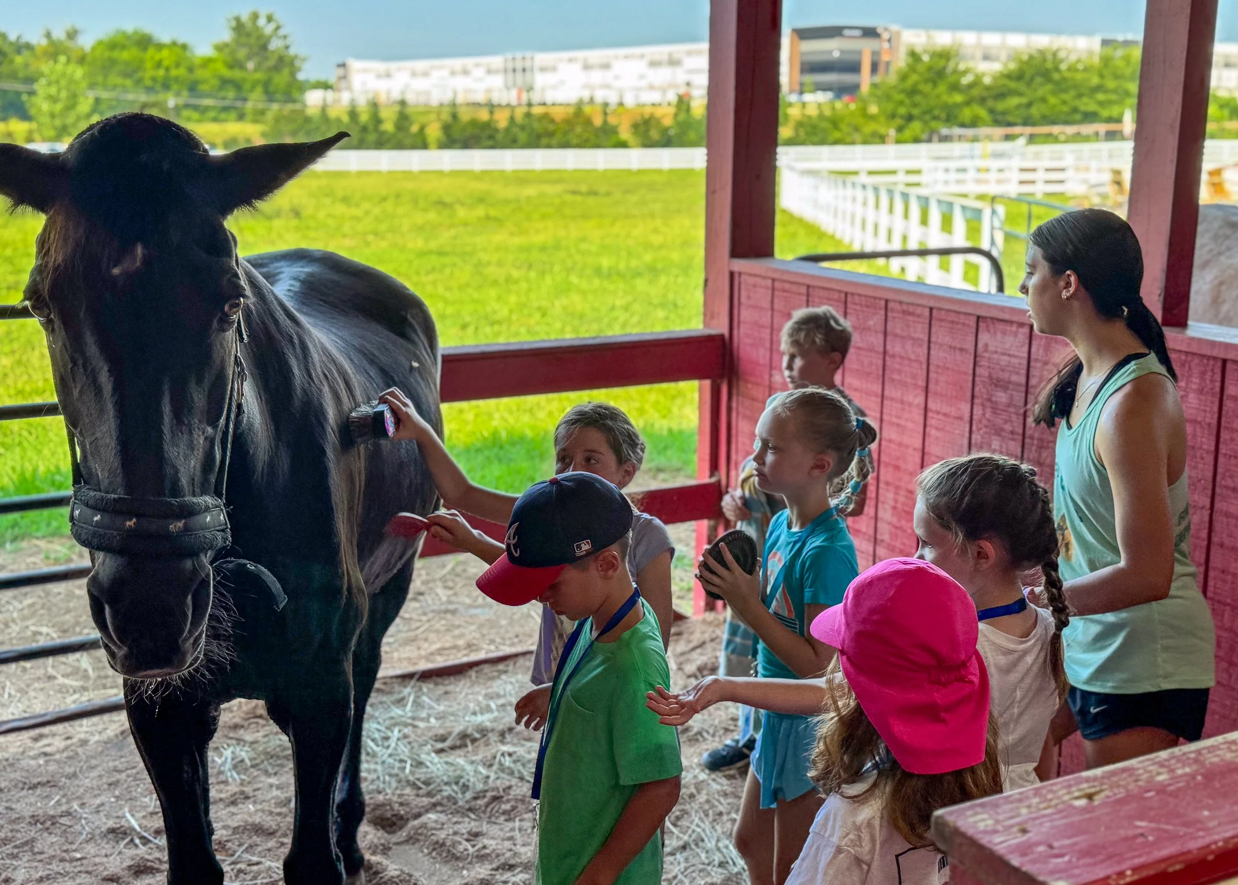Katie and Kids Grooming Seven Camp 2025].jpg