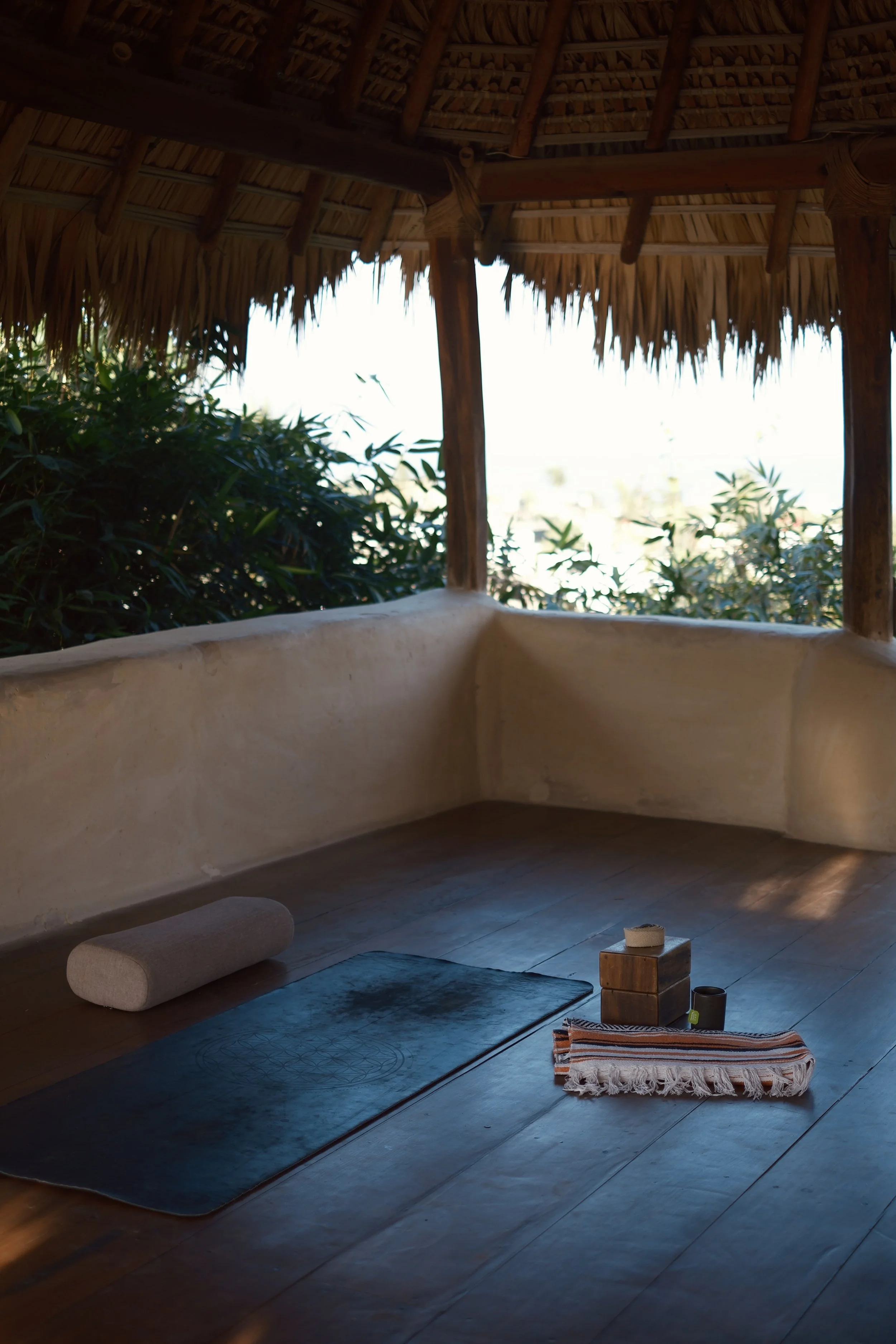Wellness