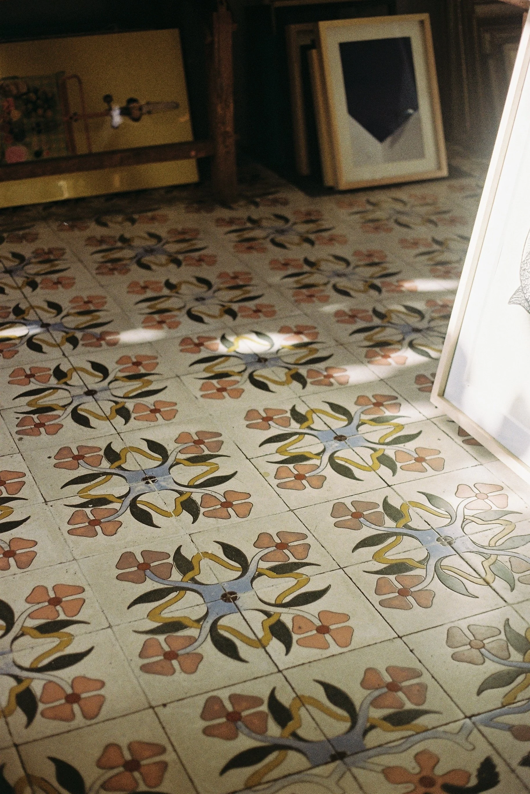 Colorful floor tiles with floral and leaf patterns in an indoor setting, with some framed pictures leaning against the wall in the background.