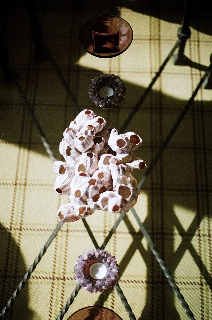 73761FBF-4CA3-44BB-B174-5A5689DD55E8_1_105_c.jpeg