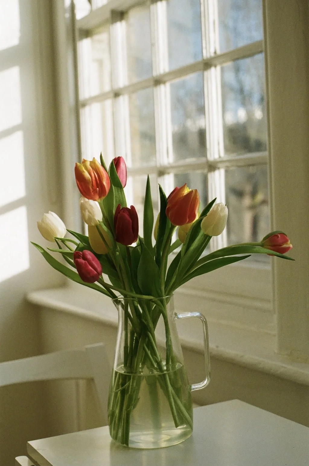 932F092A-9D9E-4F3A-AD49-25152D1848F2 copy.jpg