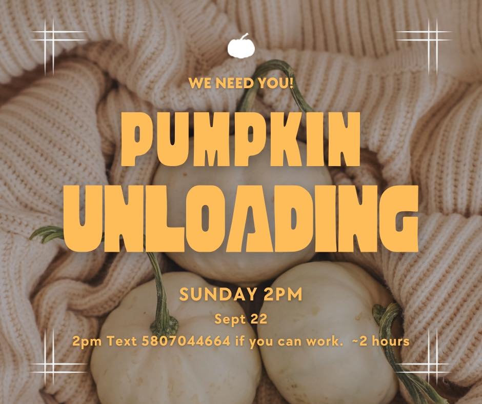 Today!!🎃🎃🎃🎃