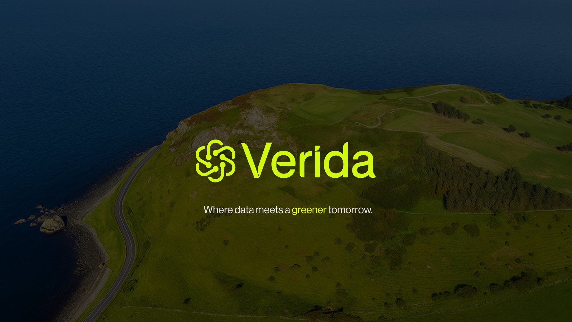 Verida: Branding