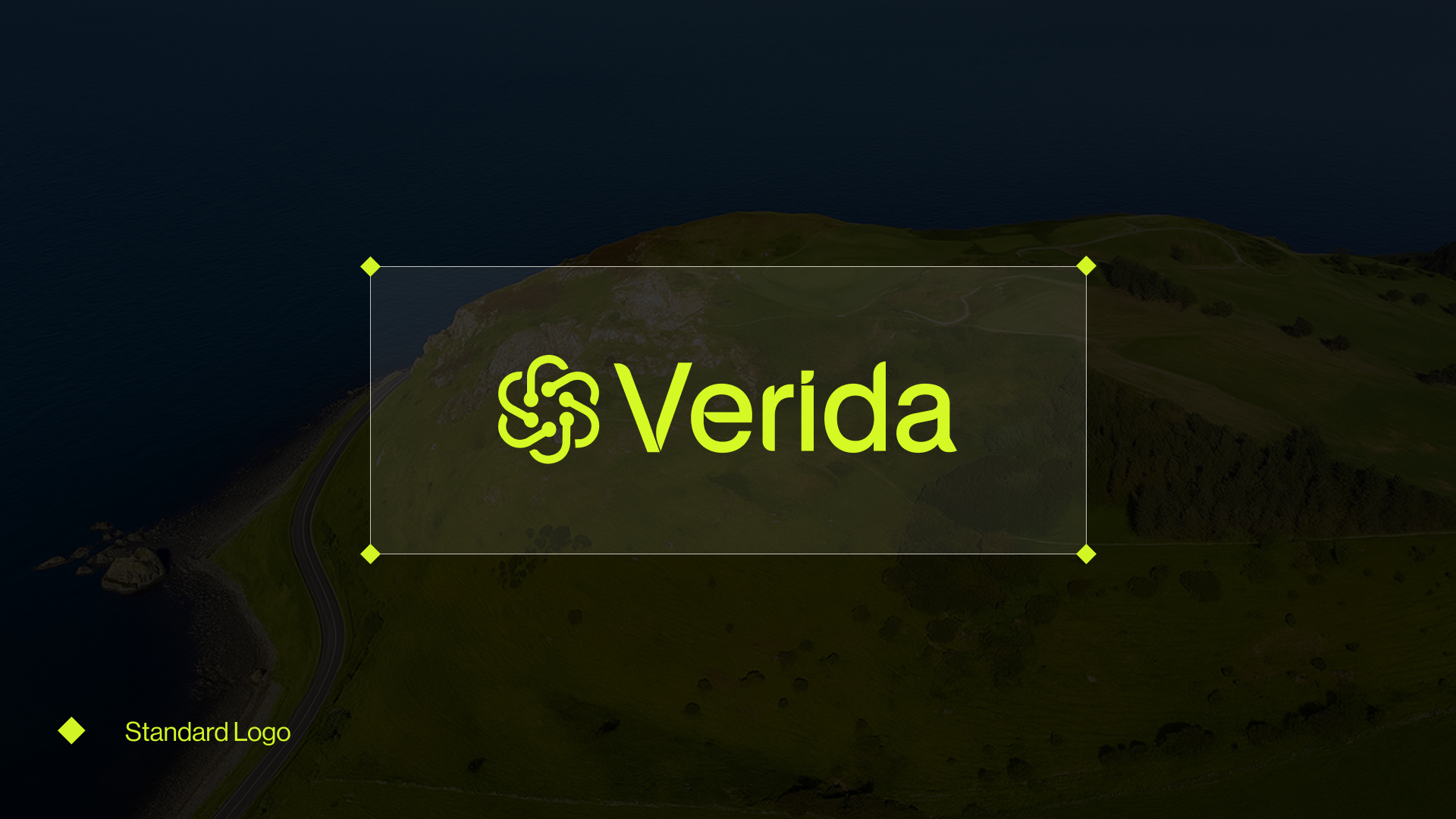 Verida Standard Logo.png
