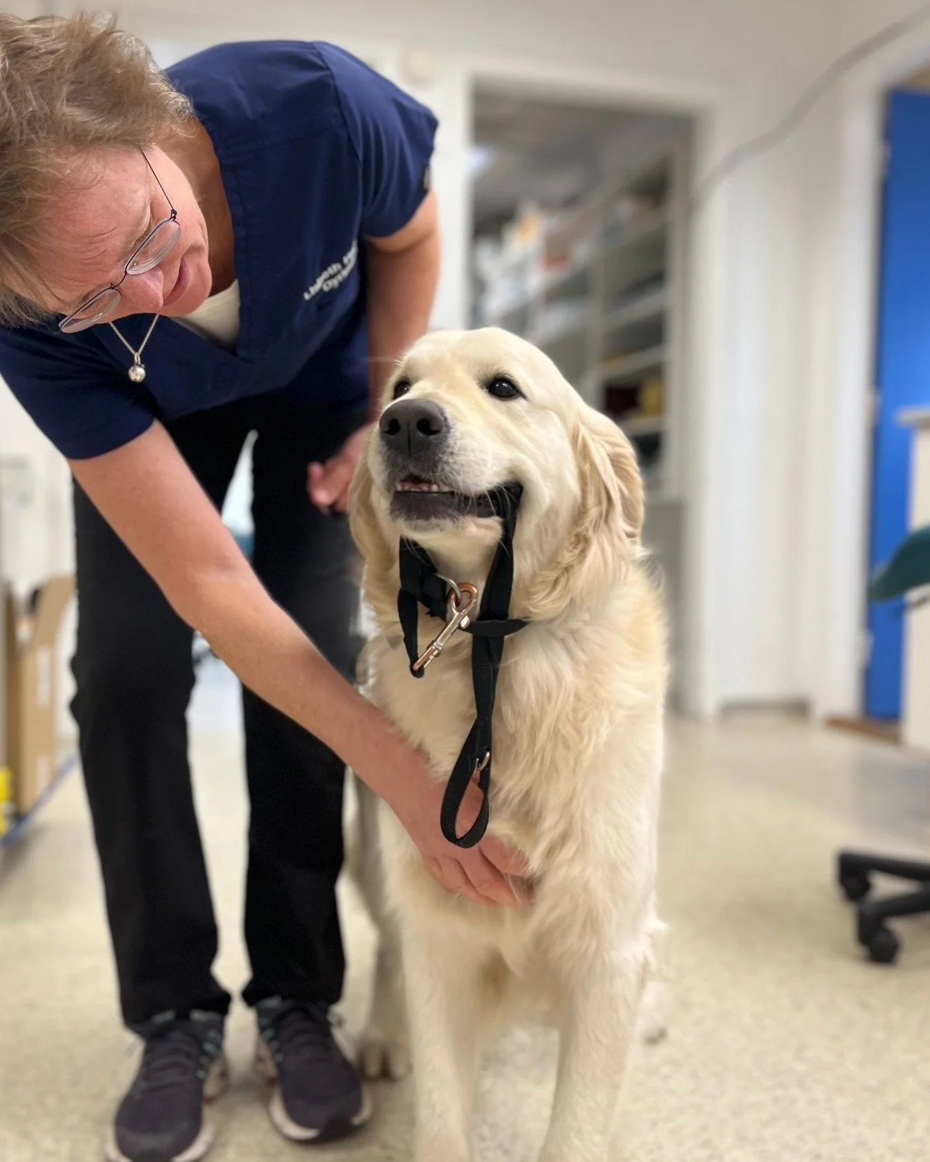 📞HVILKET OPKALD TROR DU VI F&Aring;R FLEST AF?📞

Er det mon hunde med tandproblemer?🐶 Katte med d&aring;rlig mave?😻
...eller noget helt tredje?

🙌Vi vil meget gerne h&oslash;re dit bud? Skriv gerne en kommentar med, hvilket slags opkald du tror 