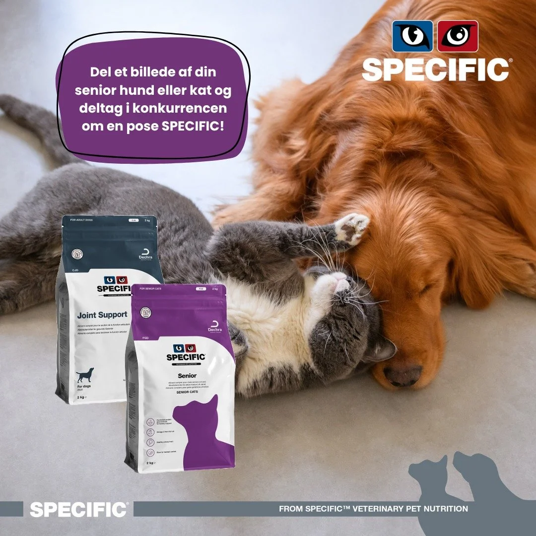 ✨Vind en GRATIS s&aelig;k foder til din bedste ven✨

I forbindelse med vores seniorkampagne har du nu mulighed for at vinde en gratis s&aelig;k foder til din hund/kat. Alt du skal g&oslash;re er: 
 📸 Del et billede af din senior hund/kat 
 👍 Like o