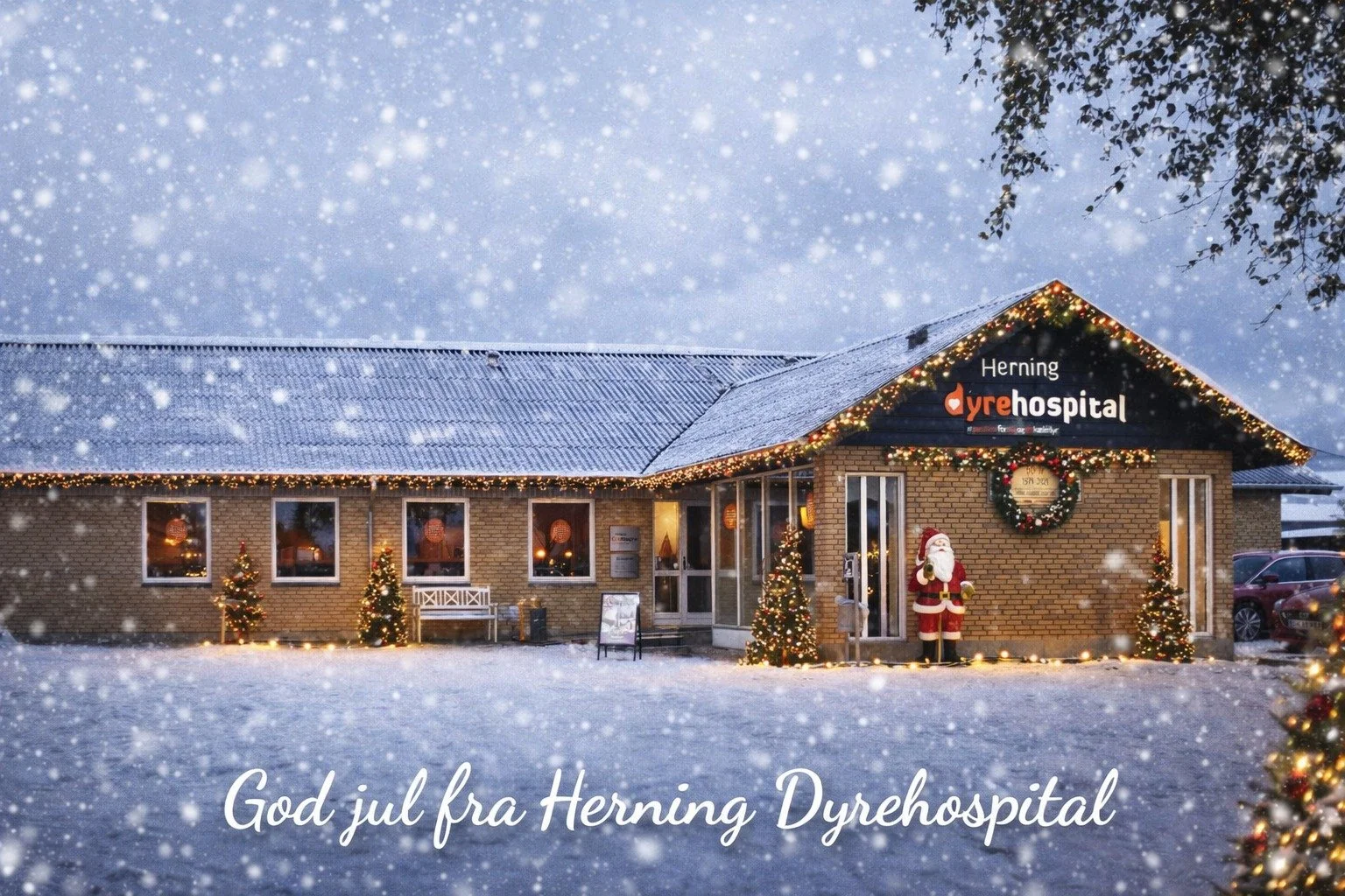 ❄🎅🏻🎄VI &Oslash;NSKER JER ALLE  EN GOD JUL 🎄🎅🏻❄ 
B&aring;de de tobenede og firbenede🐶🐱🧍&zwj;♀️🧍

Skulle der ske noget med jeres k&aelig;ledyr i juledagene kan I ringe p&aring; vores nummer og vil blive stillet om til den vagthavende dyrl&ael