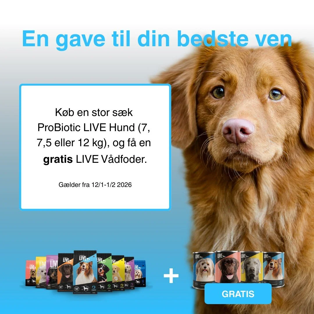 💙🧡🐾G&AElig;LDER RESTEN AF M&Aring;NEDEN🐾🧡💙