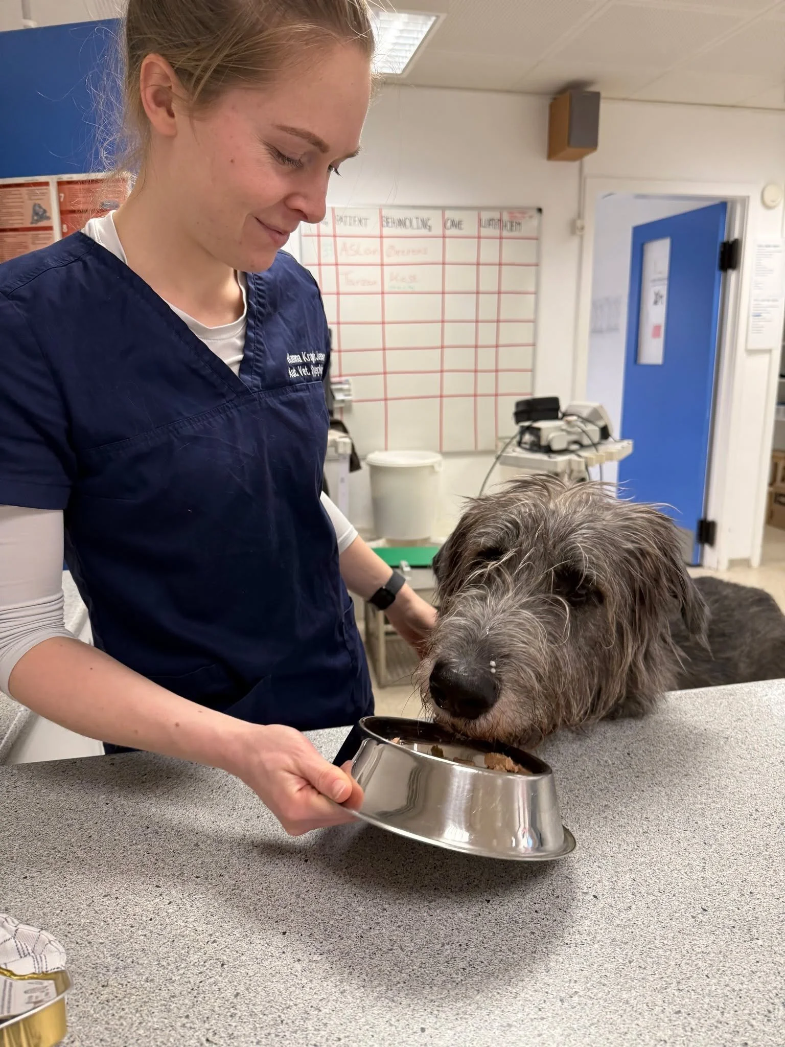 🐾❄️ Glat f&oslash;re og store poter - pas p&aring; neglene! ❄️🐾

Vi har haft bes&oslash;g af en meget stor patient&hellip; en imponerende ulvehund 🐺
Et lille uheld p&aring; den glatte is endte desv&aelig;rre med en fl&aelig;kket negl

Cozy kom i n