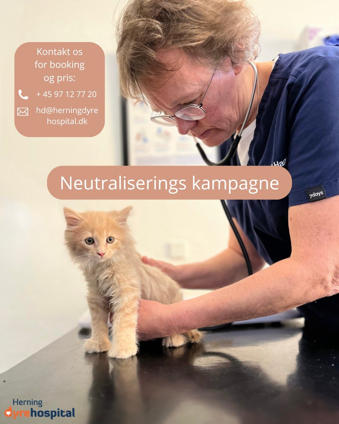 🐱 NEUTRALISERINGS KAMPAGNE FOR KATTE I FEBUAR 🐱SPAR OP TIL 460 KR. 

I februar tilbyder vi neutralisering af b&aring;de hankatte og hunkatte✨

Kampagnen g&aelig;lder tirsdag, onsdag og torsdag i hele februar🐾

Rabatten kan opn&aring;s ved kastrati