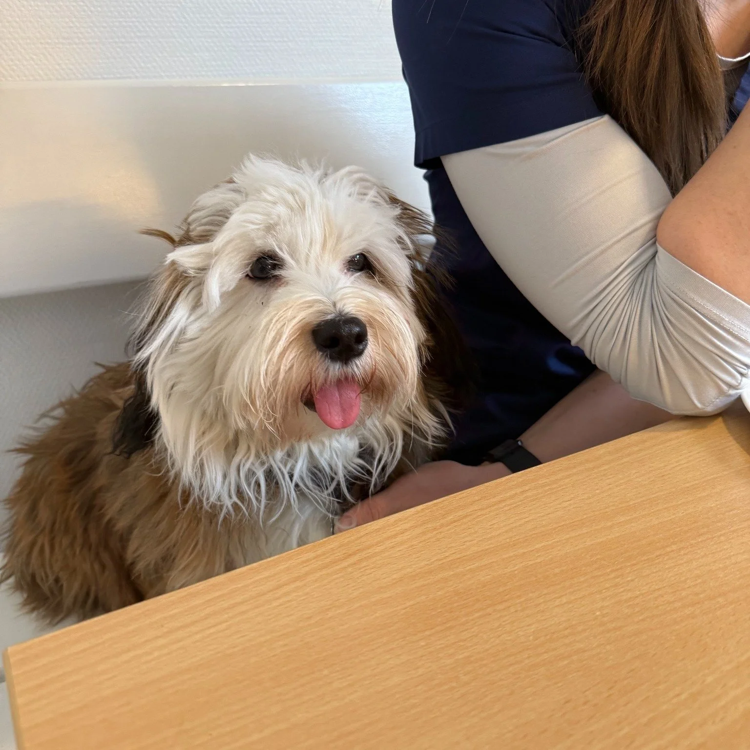 Onsdag var en stor dag for lille Sofus ❤️

Som nogle af jer m&aring;ske husker, lagde vi i onsdags billeder op af ham og nu har han s&aring; v&aelig;ret inde for at blive opereret i begge albuer, da han desv&aelig;rre har en v&aelig;kstfejl. P&aring;