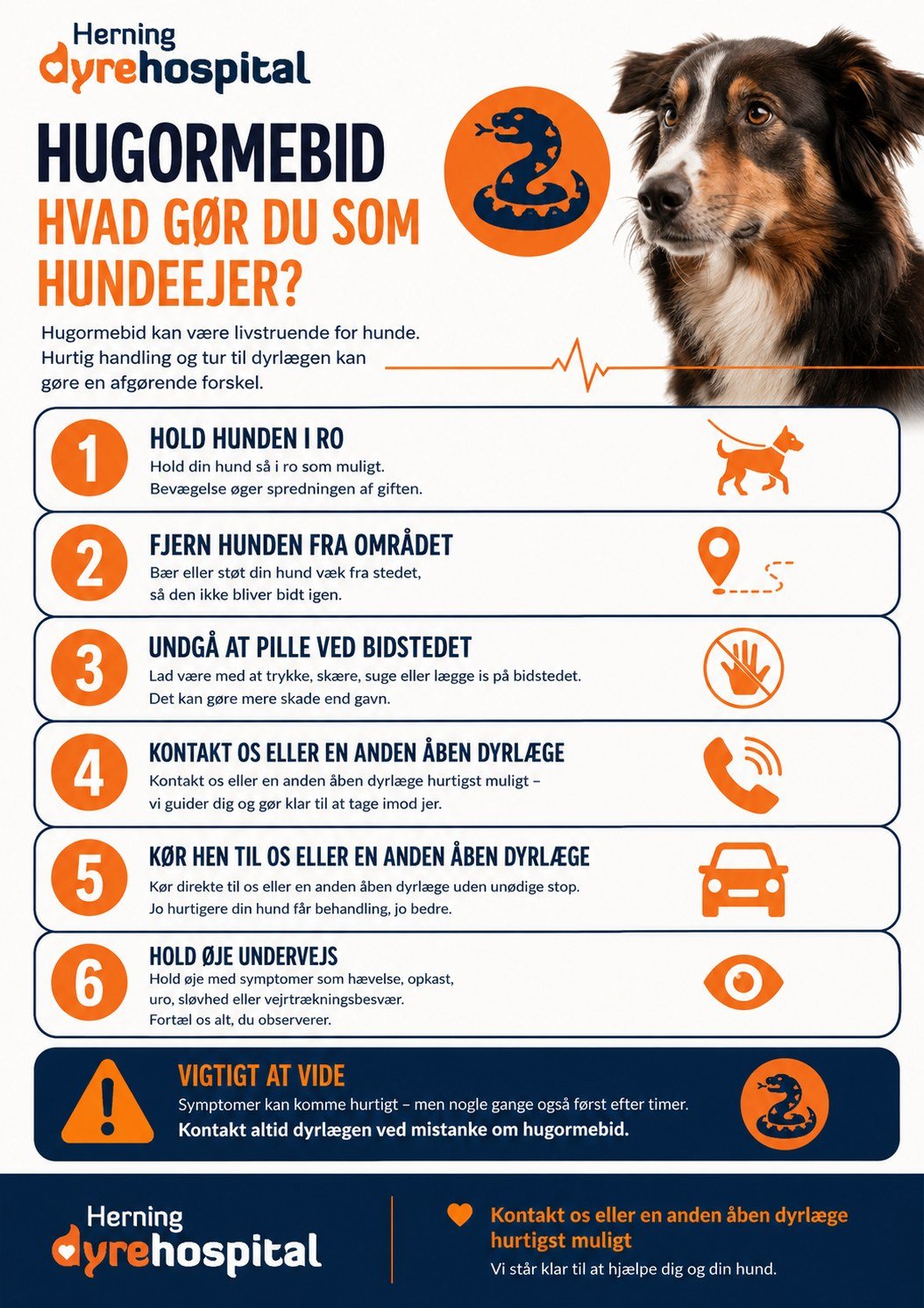 🍀🐍For&aring;ret og sommeren er h&oslash;js&aelig;son for m&oslash;der med hugorme, og desv&aelig;rre bliver nogle hunde hvert &aring;r bidt🐍☘️

Et hugormebid kan v&aelig;re alvorligt og kr&aelig;ver hurtig handling. Derfor har vi lavet en enkel gu
