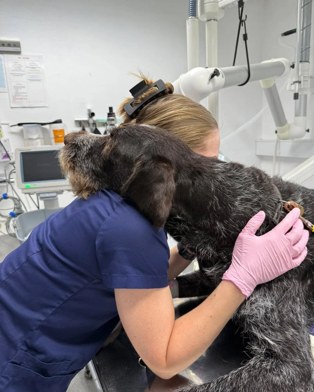 🐾 N&aring;r tryghed er den bedste medicin 🐾
❤️En k&aelig;rlig krammer i mens han falder i s&oslash;vn
❤️

Nogle patienter har brug for lidt ekstra omsorg, n&aring;r de skal sove. 💙
Her f&aring;r vores firbenede ven en varm krammer, mens narkosen s