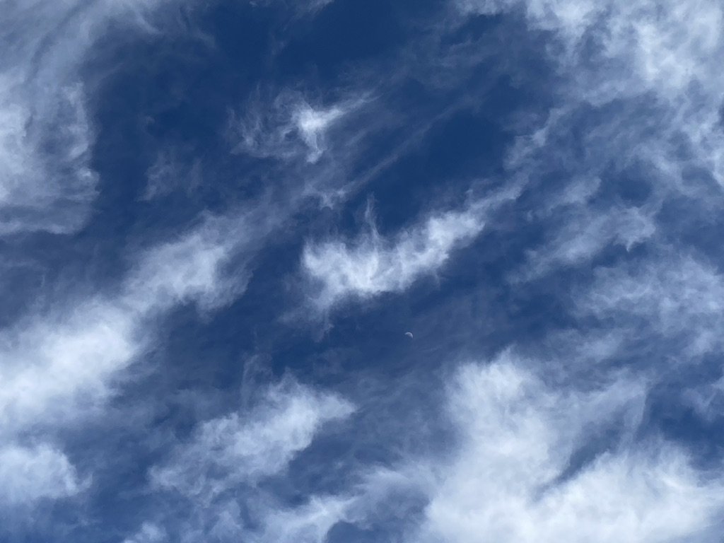 38059C8D-3165-41AB-9105-CDCC409BE2FF_1_105_c.jpeg