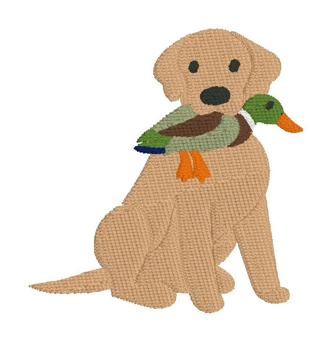 Duck Dog