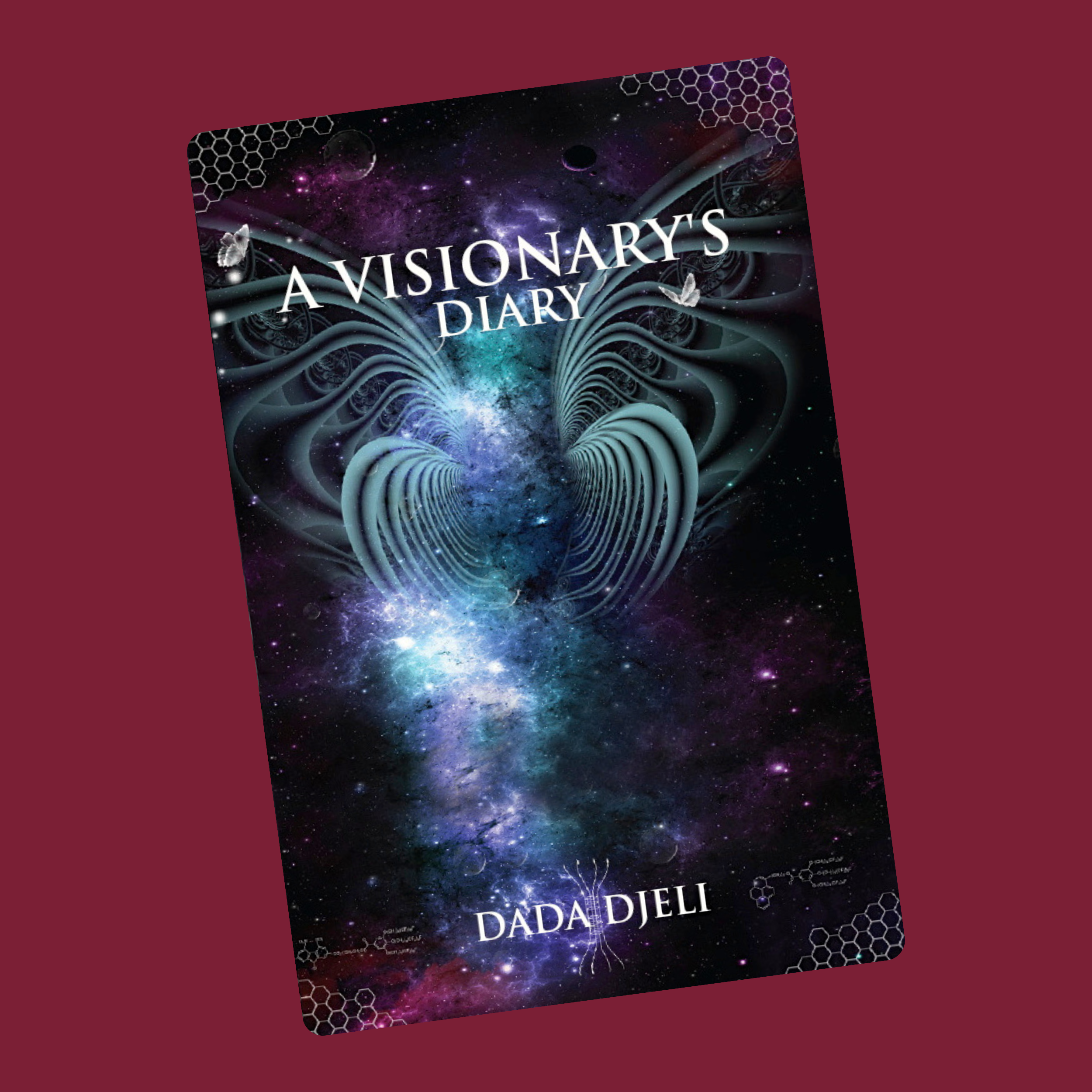 A Visionary's Diary eBook