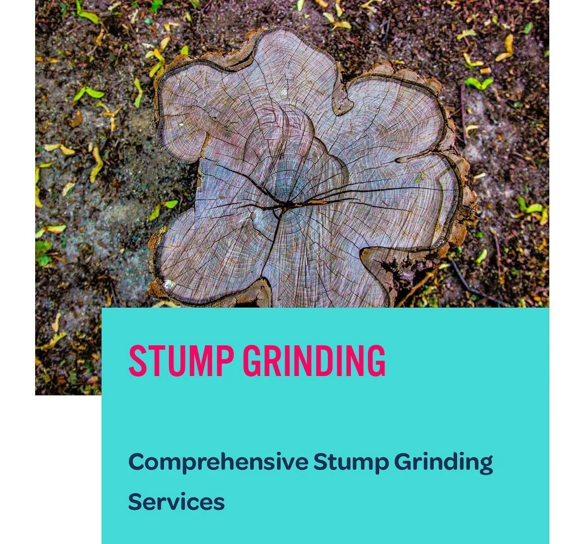DYK we do stump grinding? Click the link in bio for a quote?