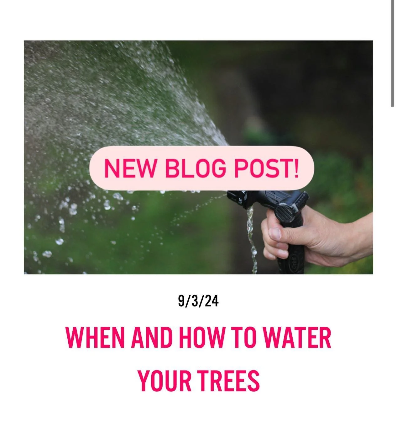 Ever wonder how and when to water your trees? This new blog post is for you!