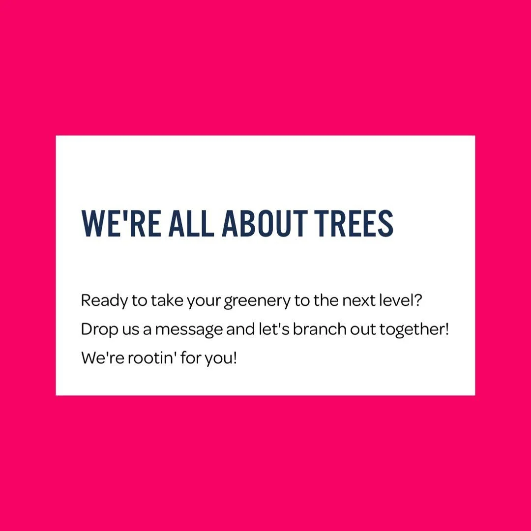 Send us a DM or head to our website to request a quote! 
#neworleanstreetemoval #treeservice