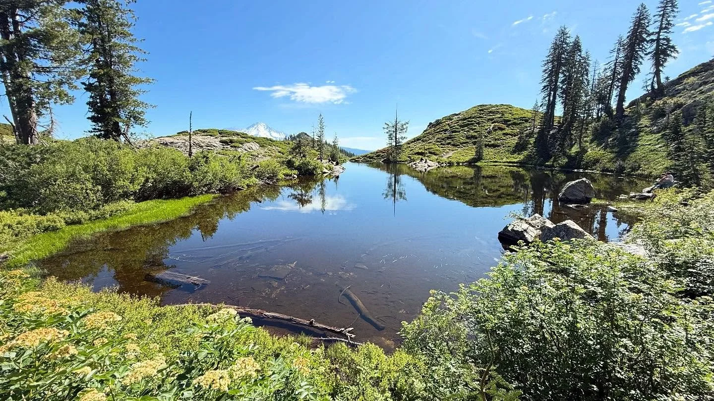 Castle Lake to Heart Lake at sunrise.
Cold plunge at McCloud Falls and Burney Falls. 
Stillness, clarity, something ancient in the air.
Shasta moves you.

#CastleLake #HeartLake #McCloudFalls #MountShasta #TrailTherapy #NatureHeals #HikingCalifornia 